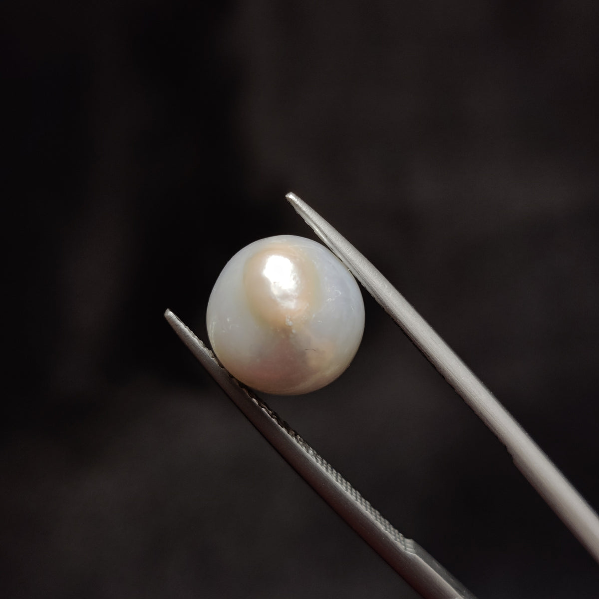 Natural Pearl (Moti) | Pearl 282 | 6.26 Carat | Certified