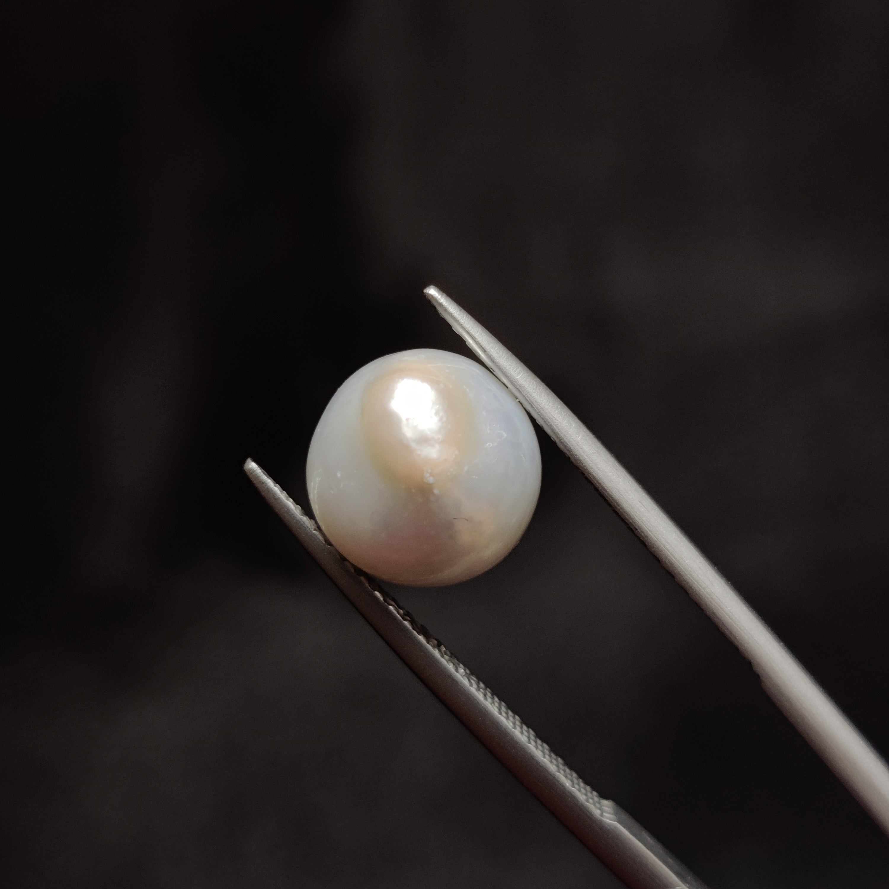 Pearl | Pearl 282 | 6.26 Carat