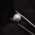 Pearl | Pearl 316 | 7.76 Carat