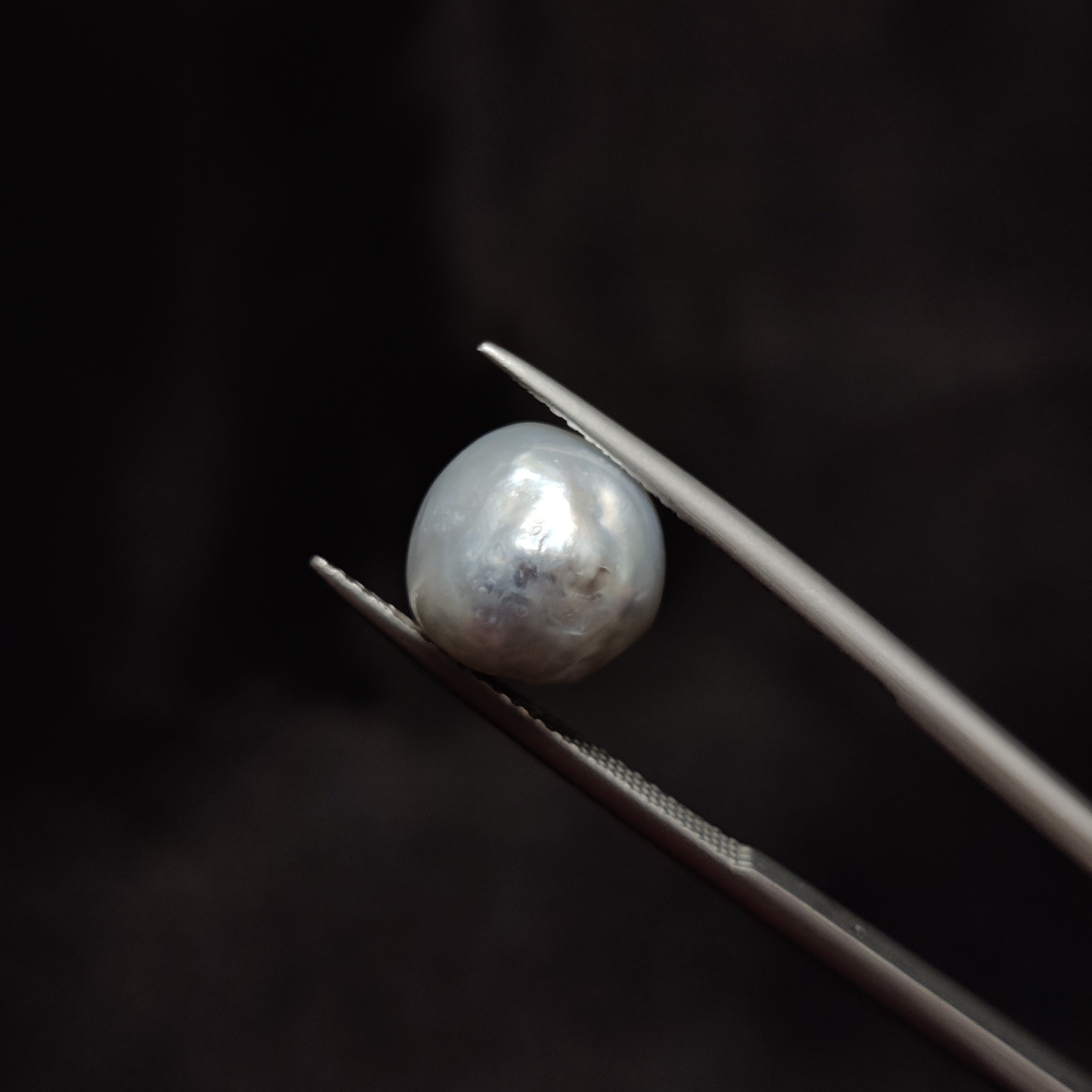 Pearl | Pearl 316 | 7.76 Carat