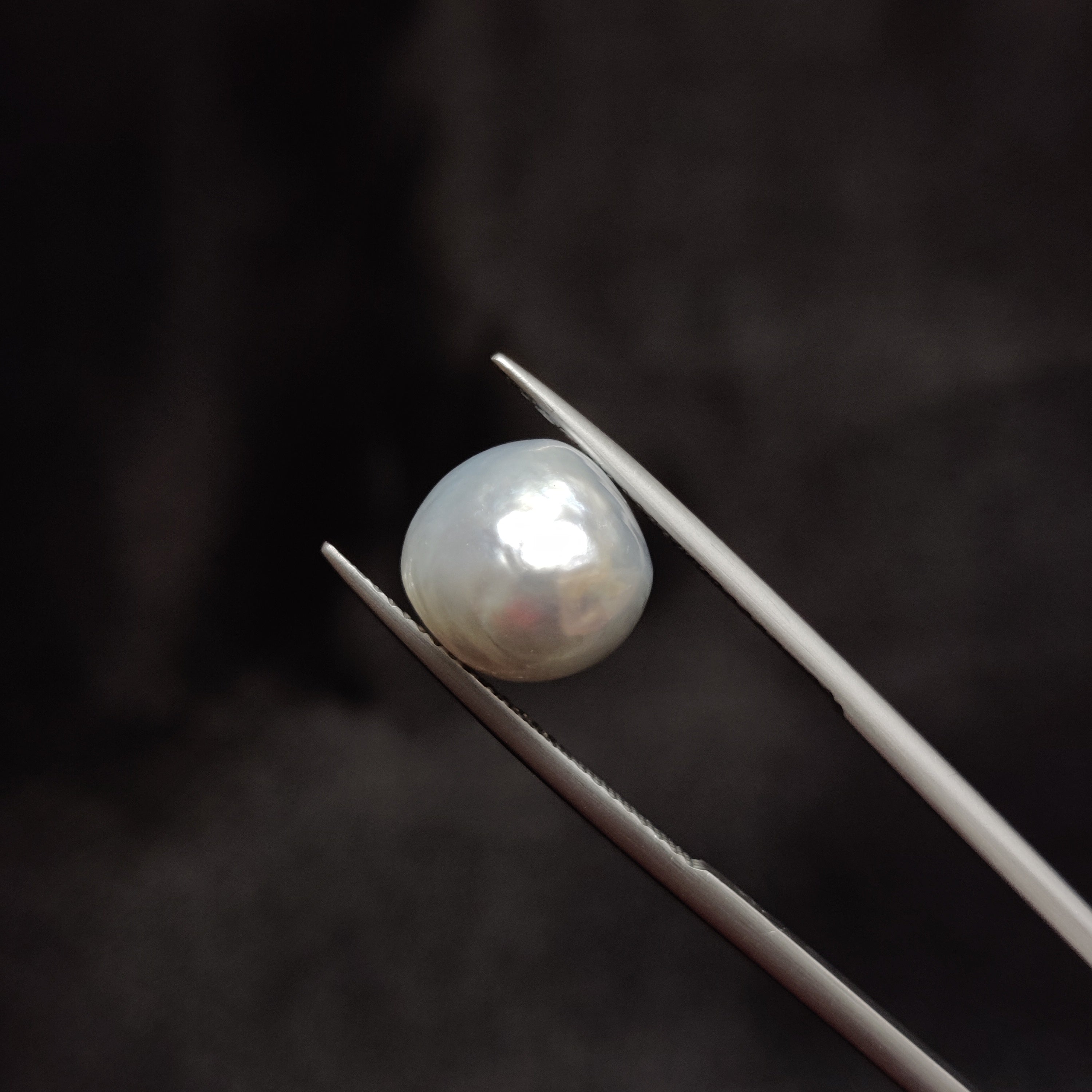 Pearl | Pearl 316 | 7.76 Carat