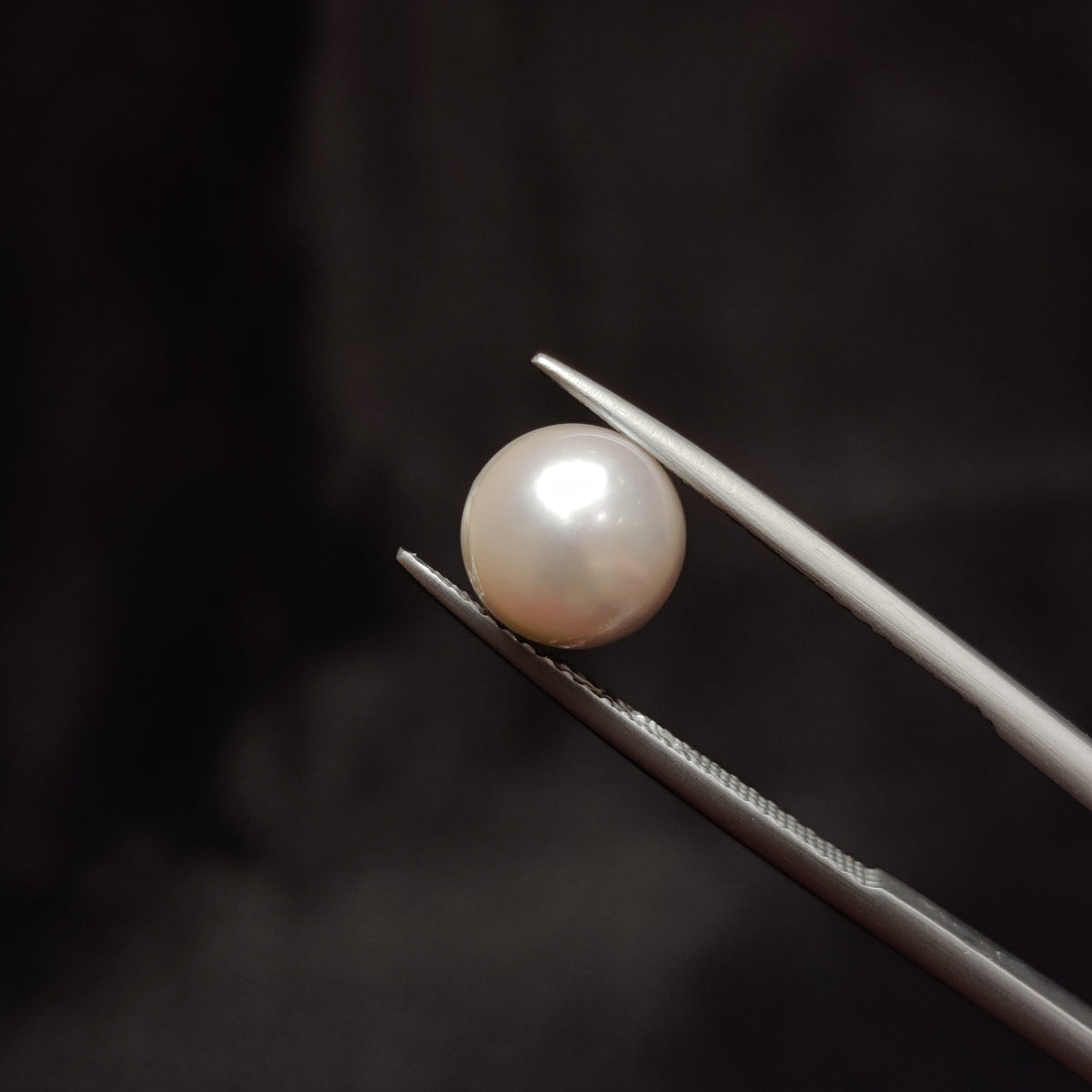 Natural Pearl (Moti) | Pearl 287 | 4.3 Carat | Certified