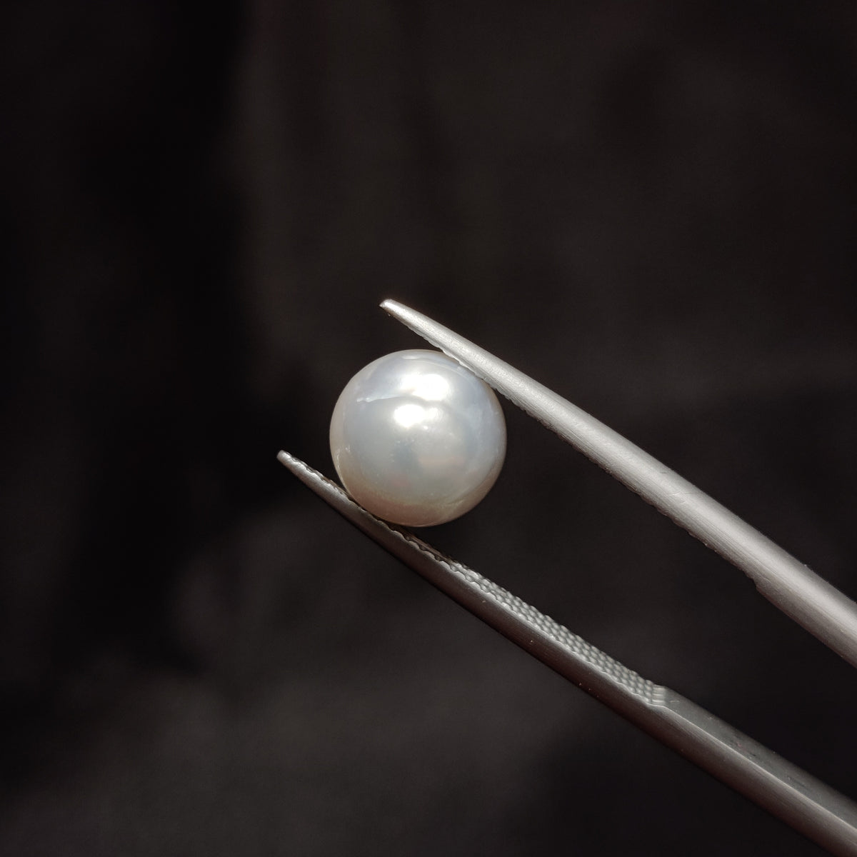 Natural Pearl (Moti) | Pearl 287 | 4.3 Carat | Certified