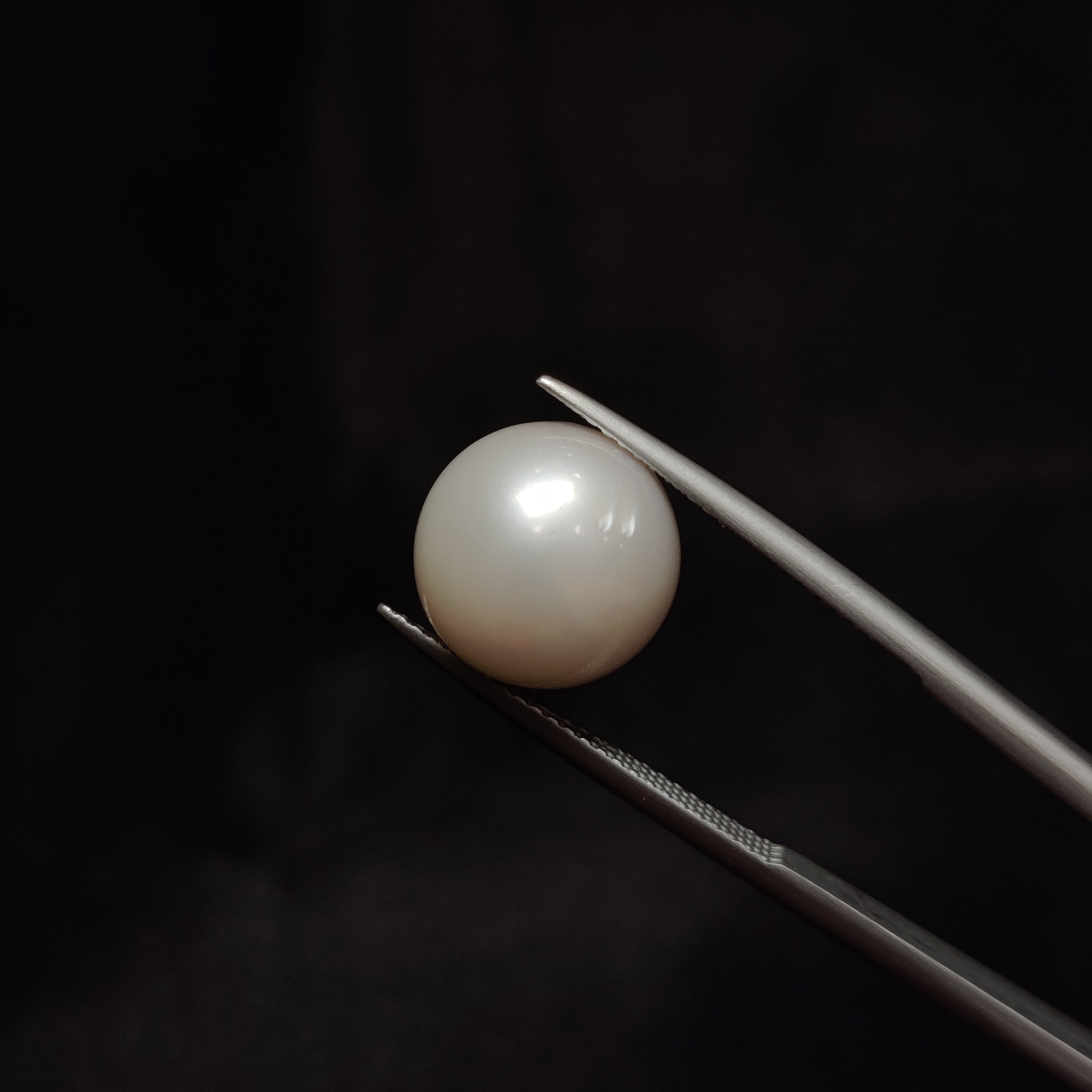 Pearl | Pearl 326 | 12.12 Carat