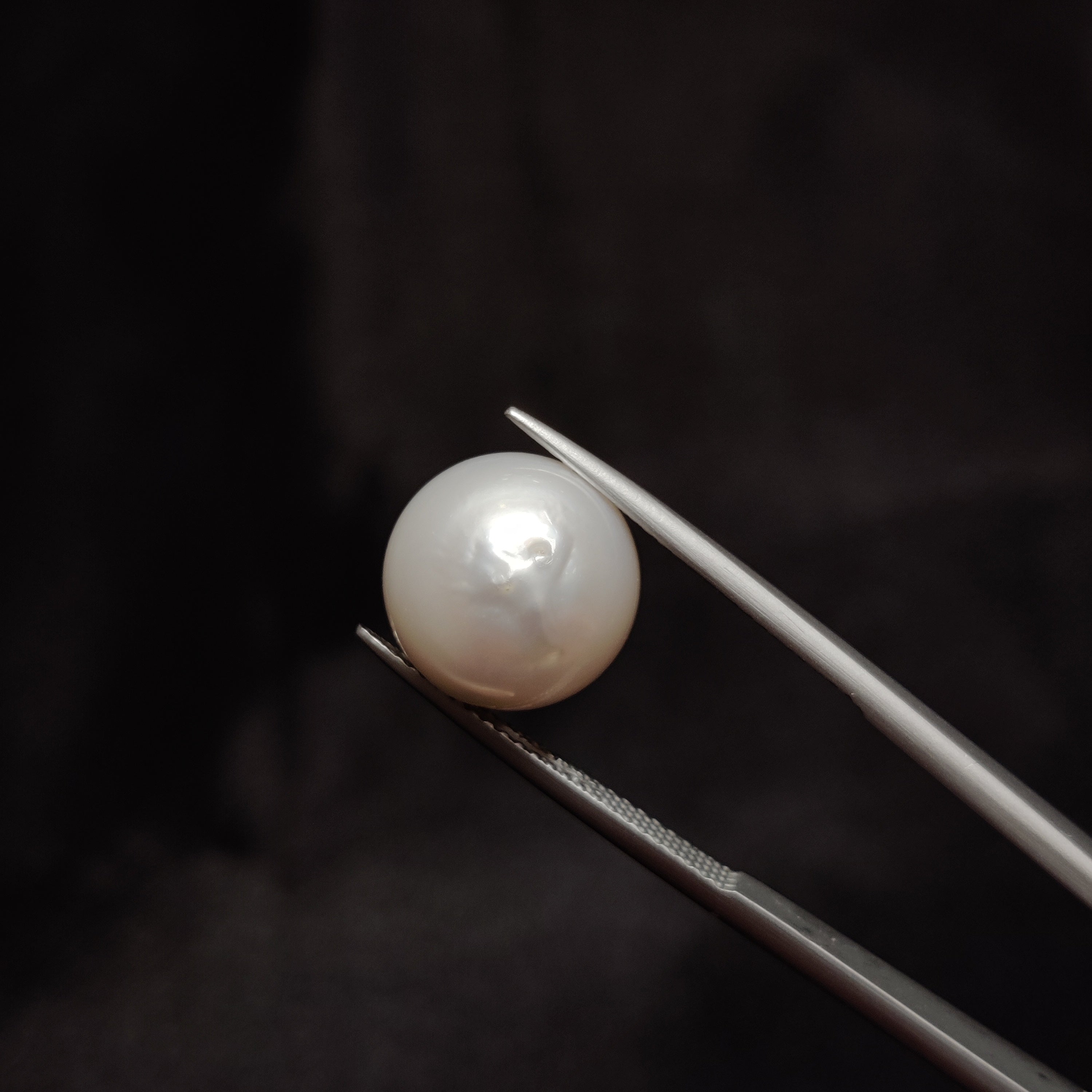 Pearl | Pearl 326 | 12.12 Carat