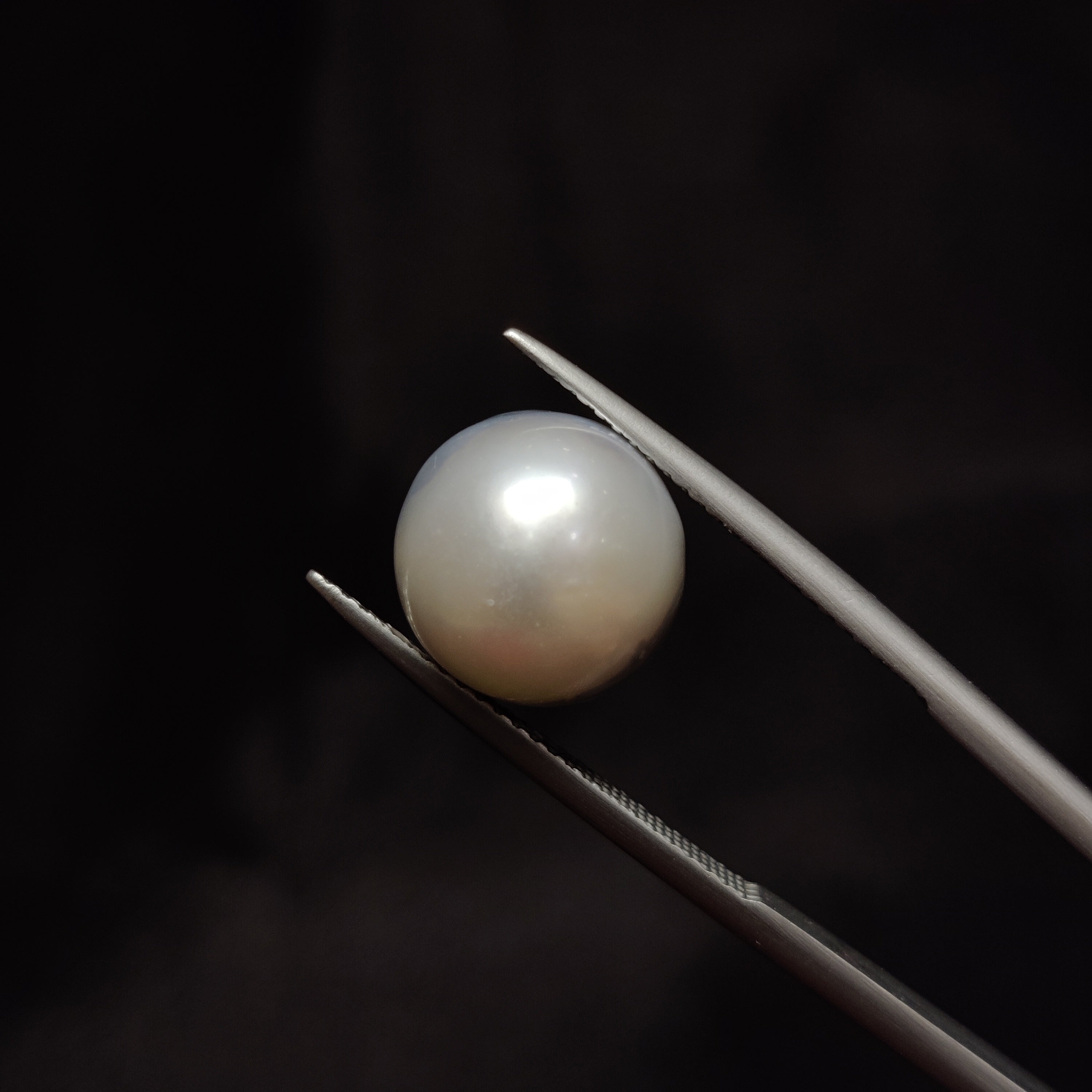 Pearl | Pearl 298 | 10.46 Carat