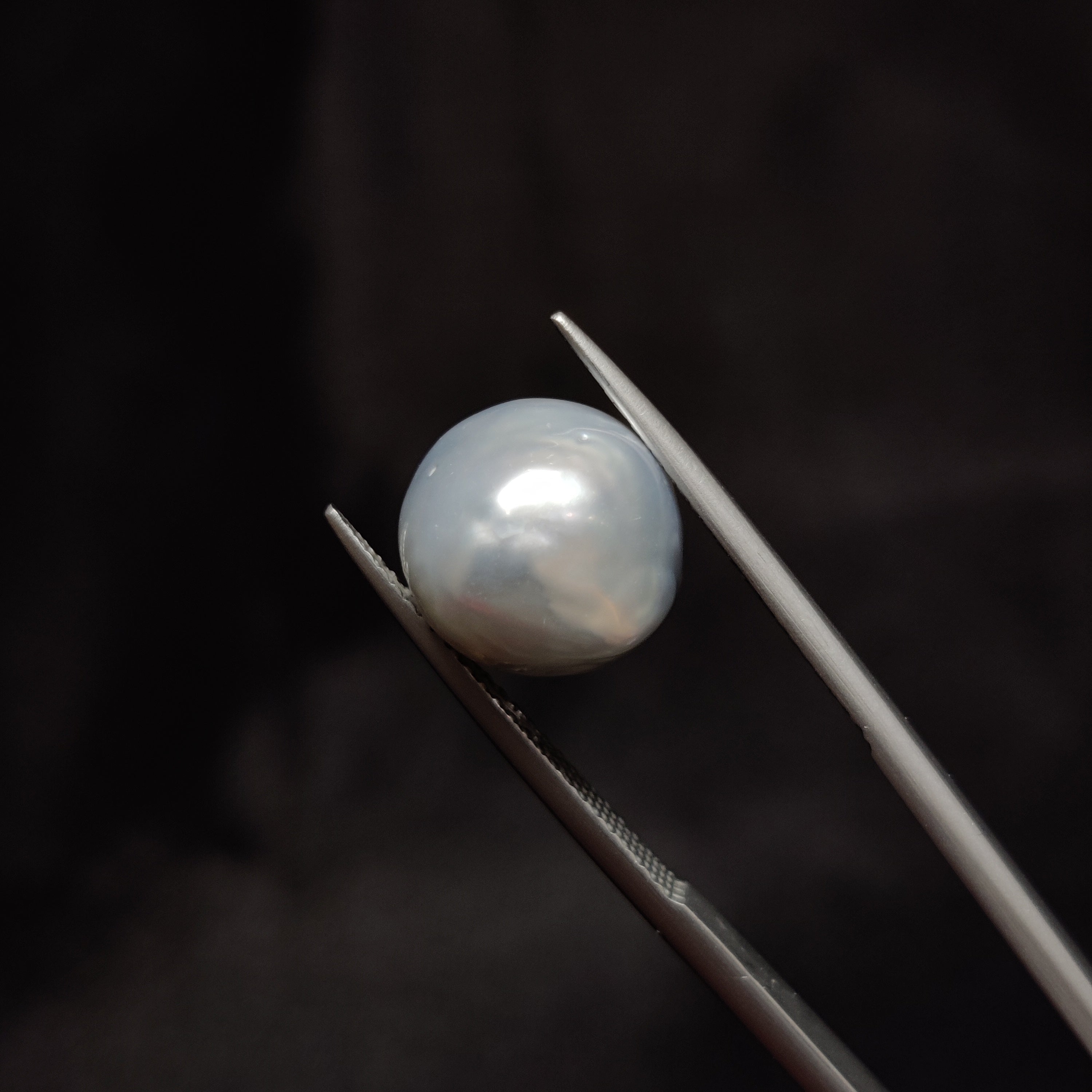 Pearl | Pearl 298 | 10.46 Carat