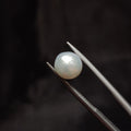 Pearl | Pearl 293 | 4.51 Carat