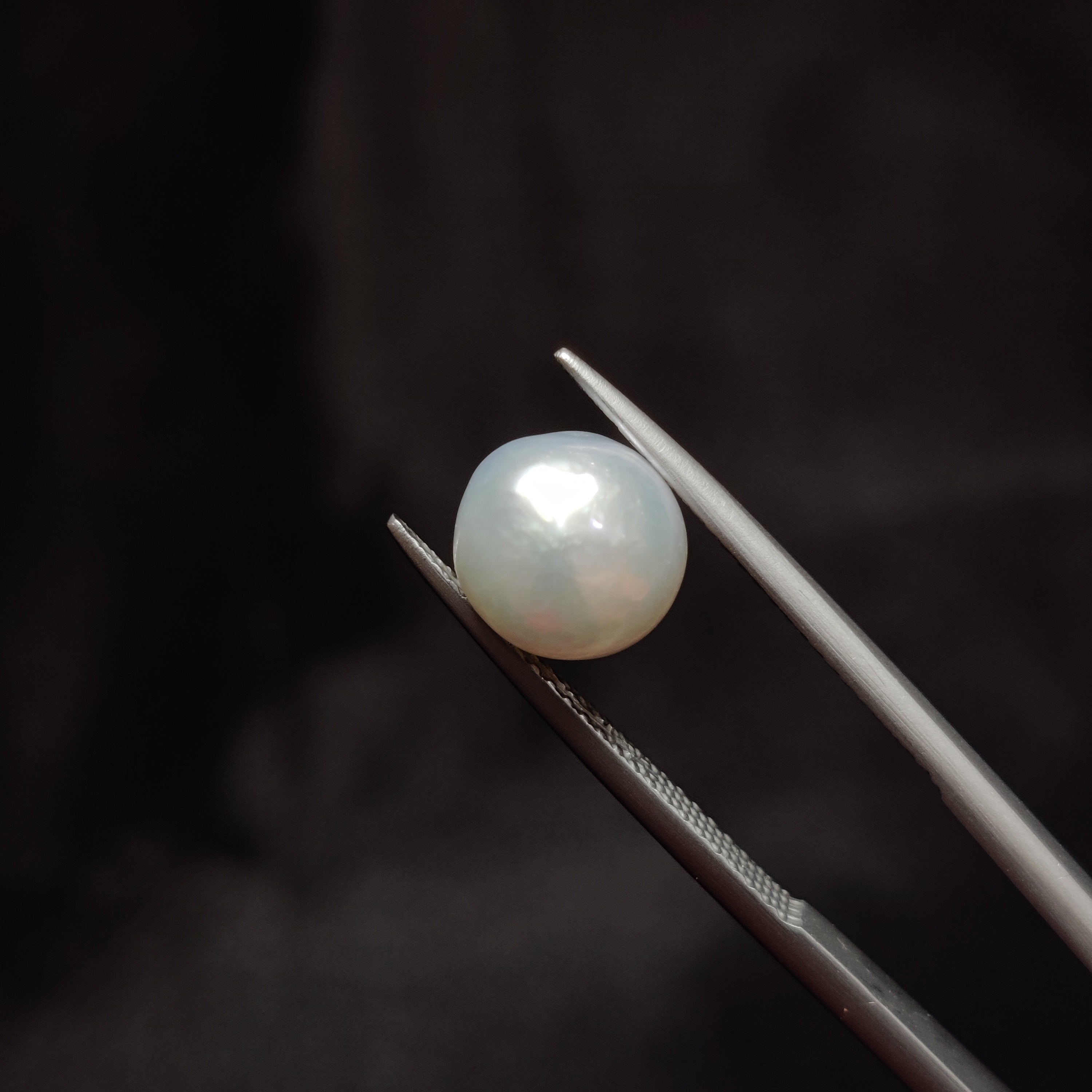 Pearl | Pearl 293 | 4.51 Carat