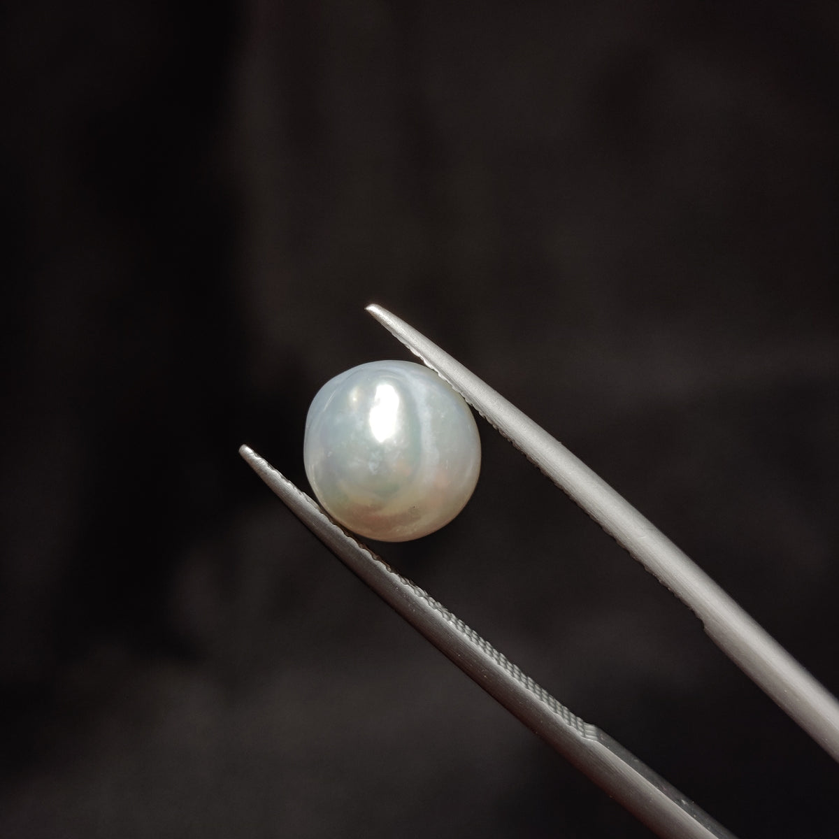 Natural Pearl (Moti) | Pearl 293 | 4.51 Carat | Certified