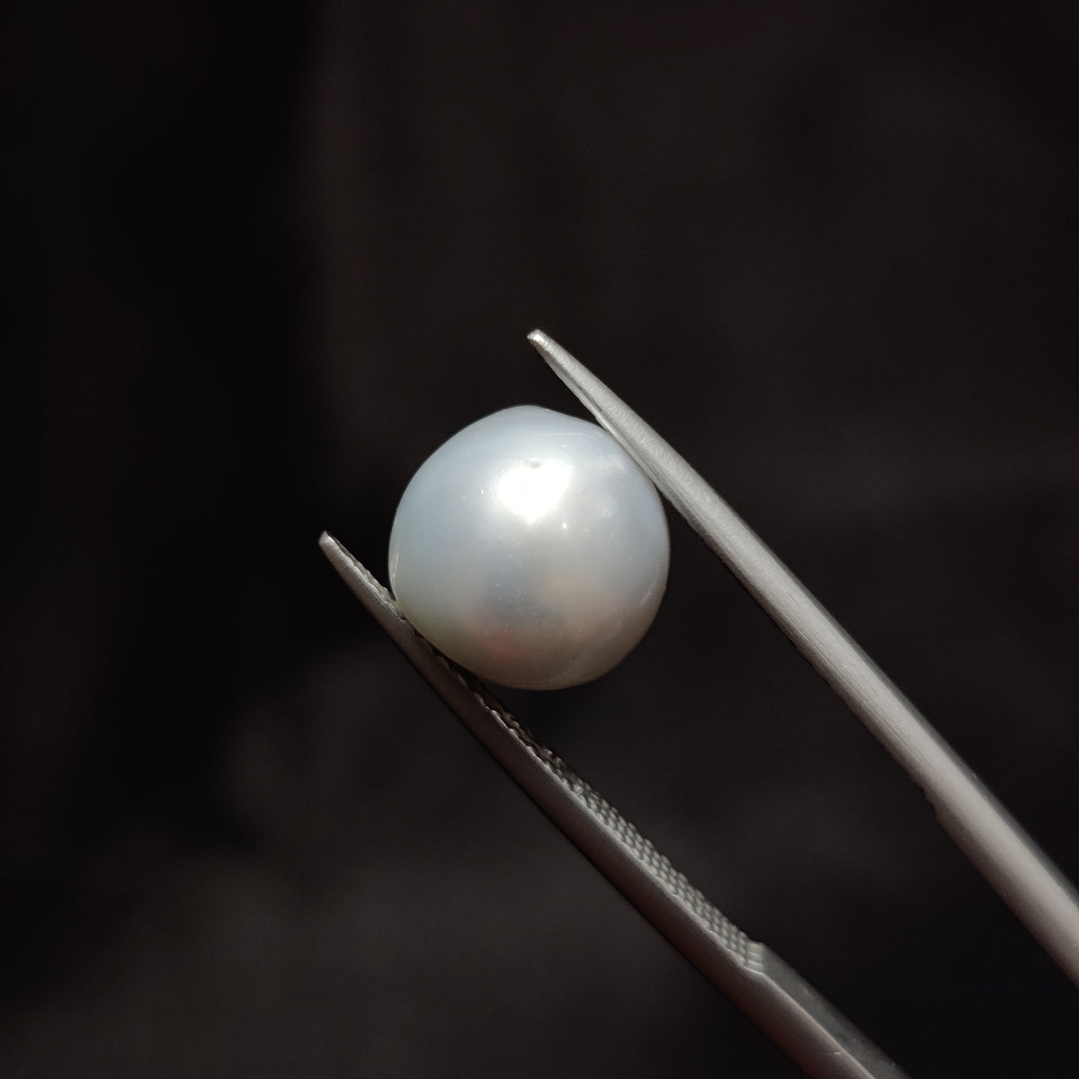 Natural Pearl (Moti) | Pearl 305 | 6.24 Carat | Certified