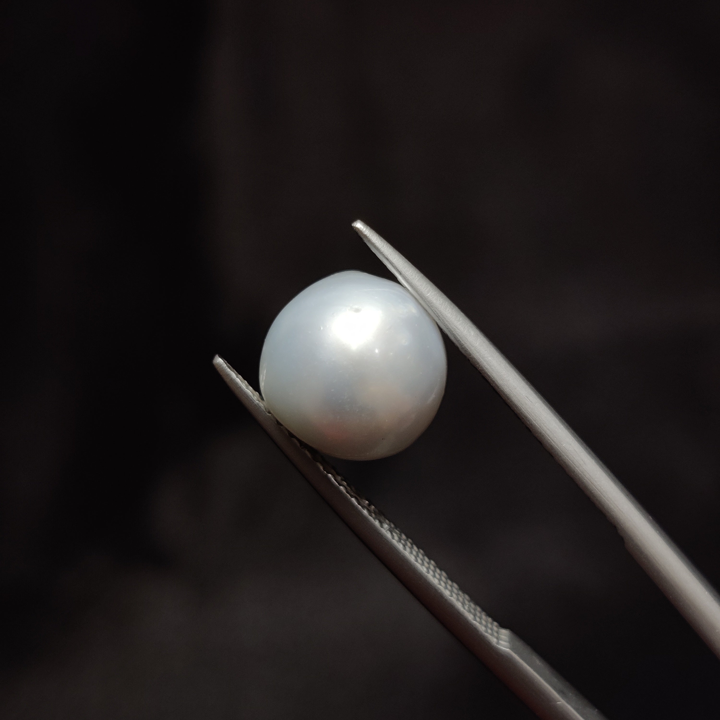 Pearl | Pearl 305 | 6.24 Carat