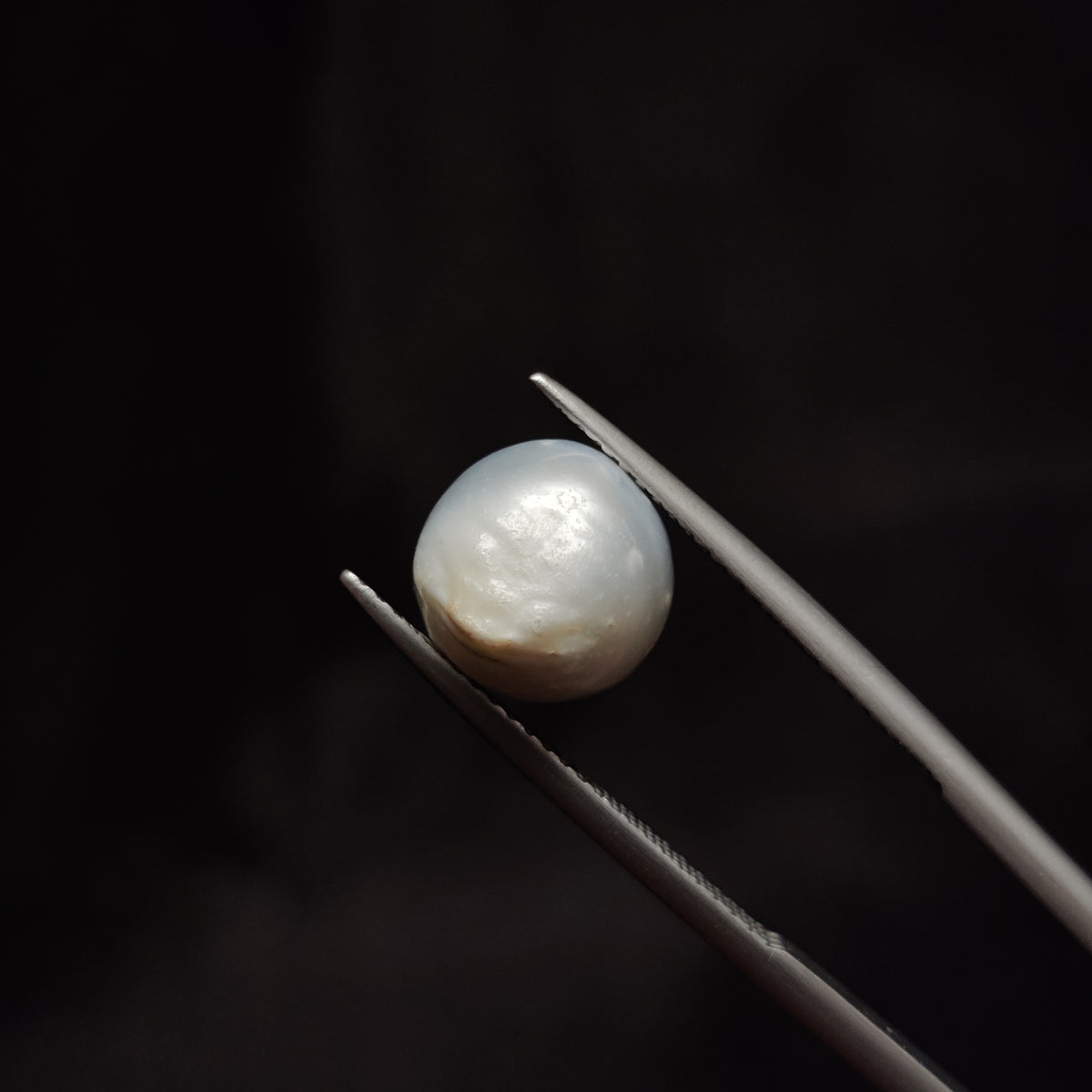 Natural Pearl (Moti) | Pearl 305 | 6.24 Carat | Certified