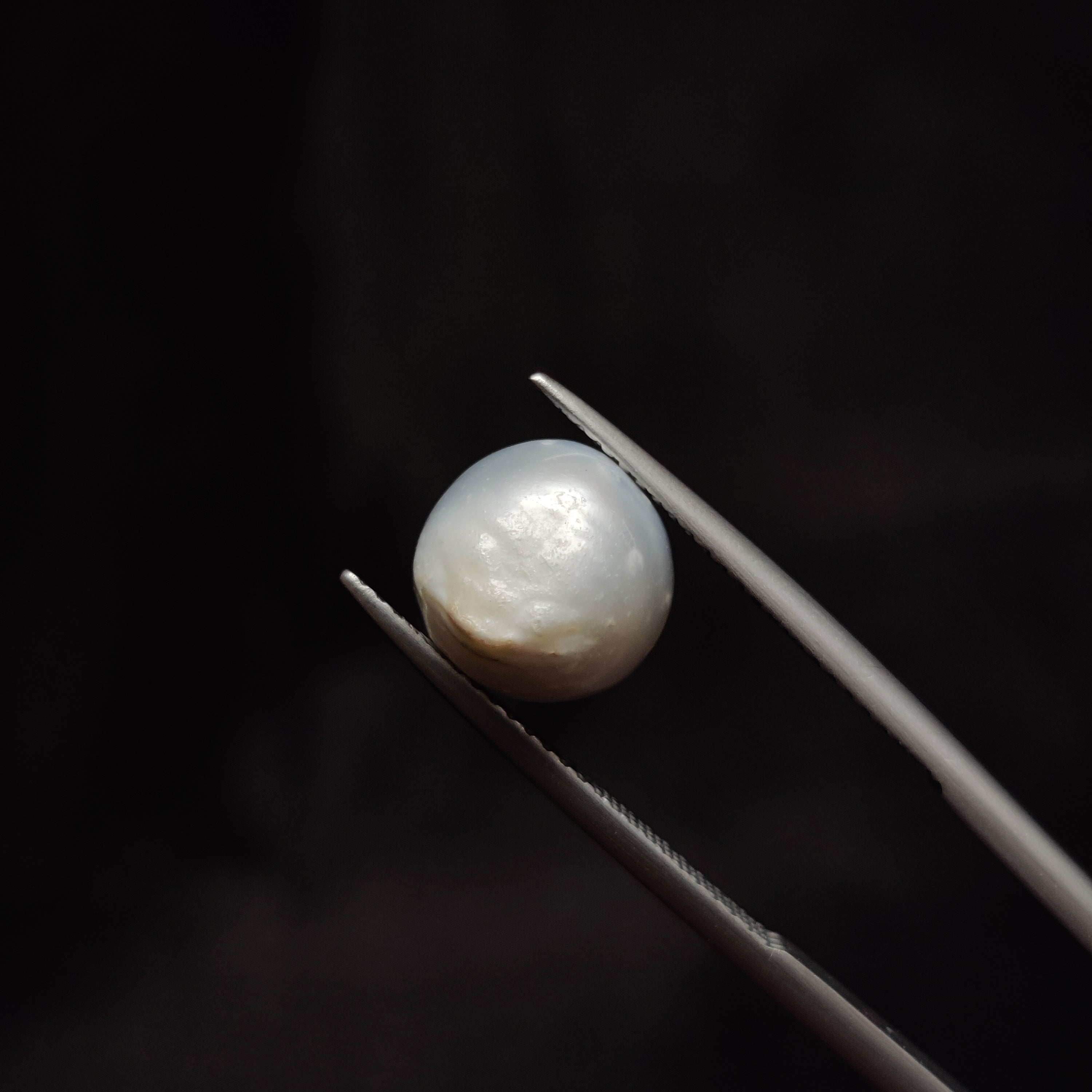 Pearl | Pearl 305 | 6.24 Carat