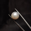 Pearl | Pearl 310 | 10.89 Carat