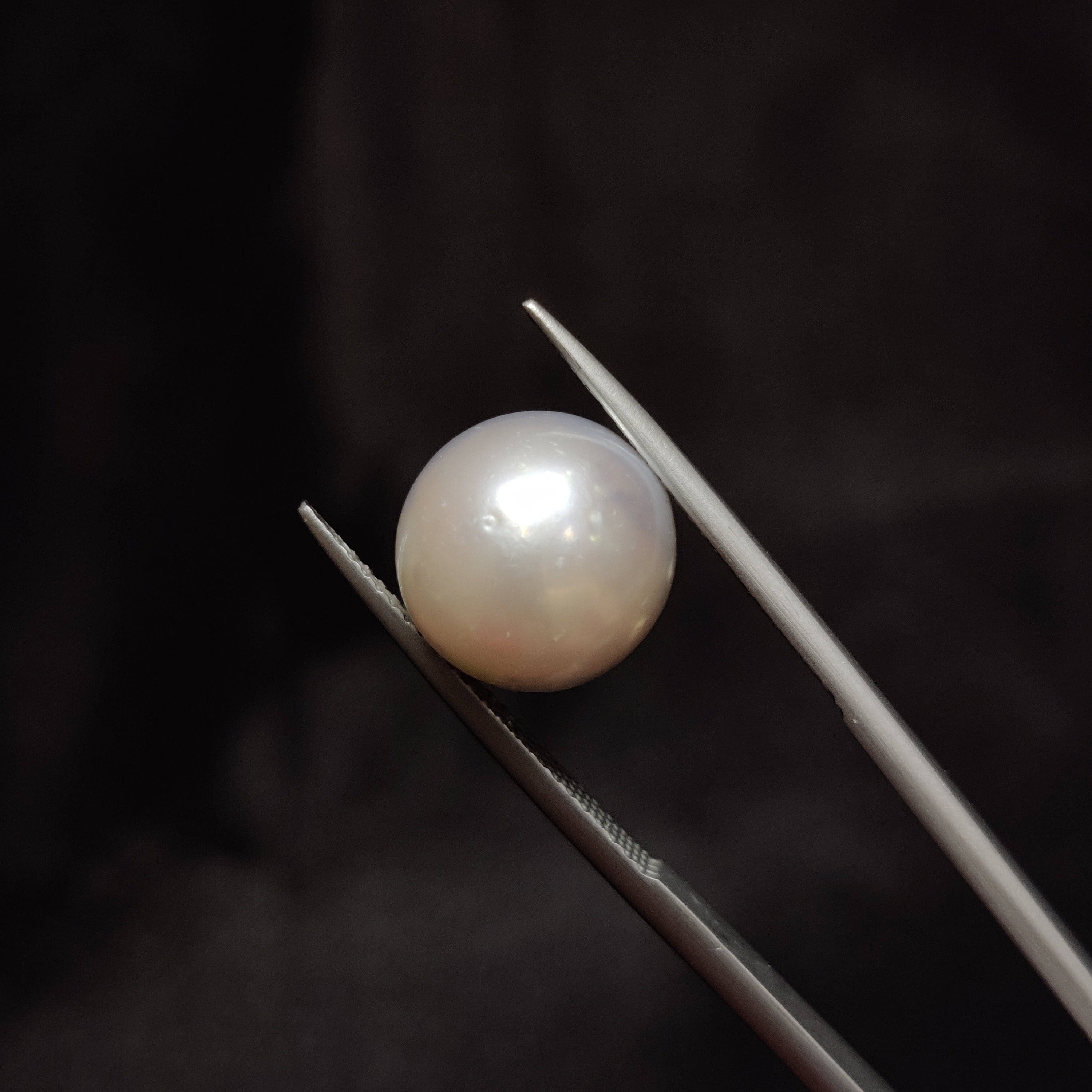 Pearl | Pearl 310 | 10.89 Carat