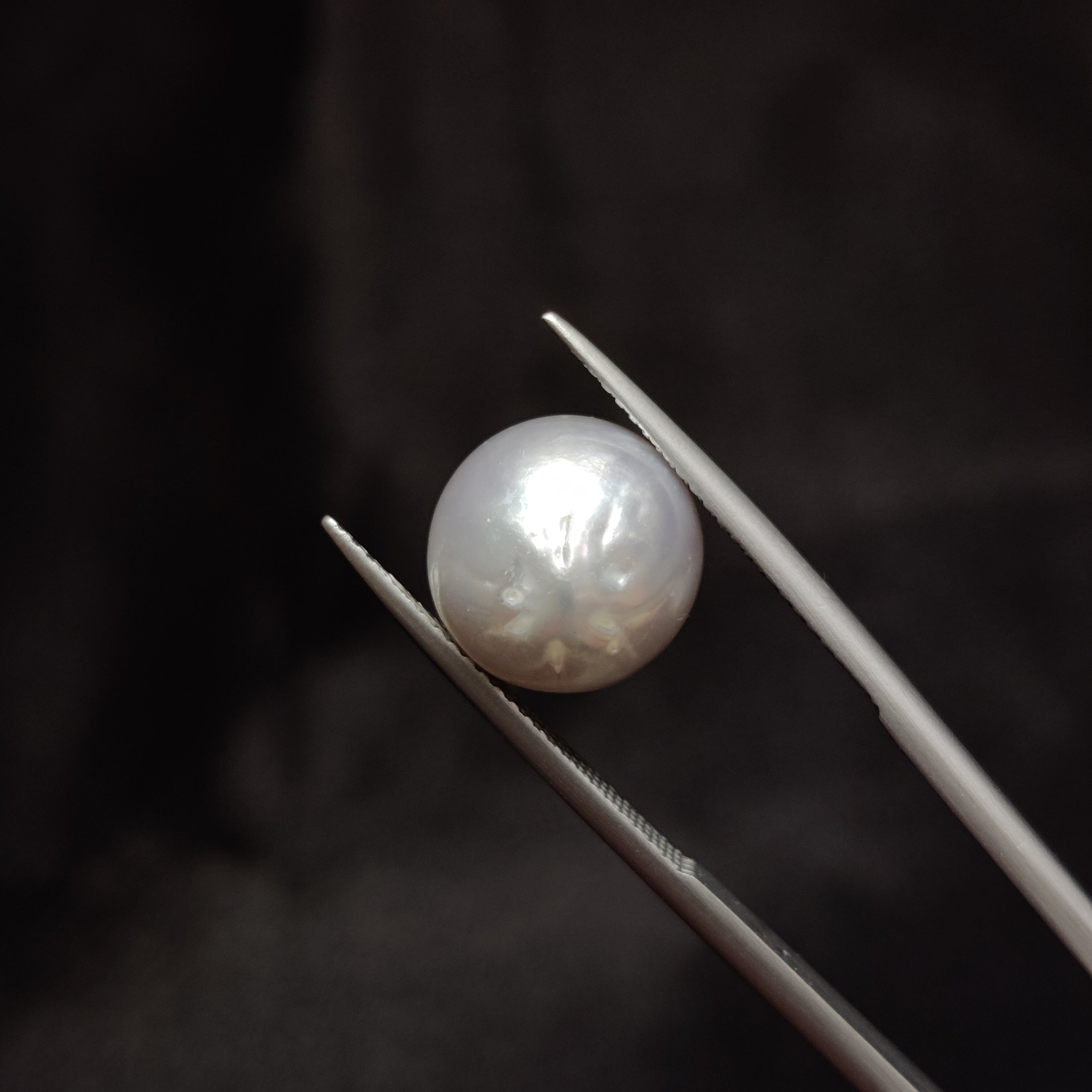 Pearl | Pearl 310 | 10.89 Carat