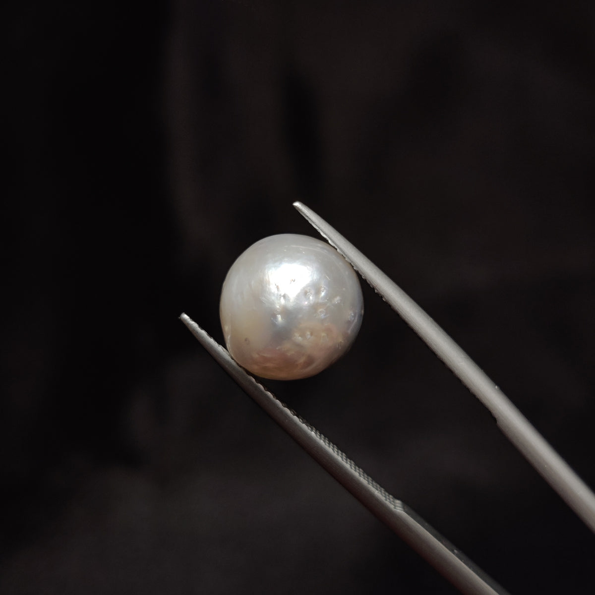 Natural Pearl (Moti) | Pearl 280 | 8.58 Carat | Certified