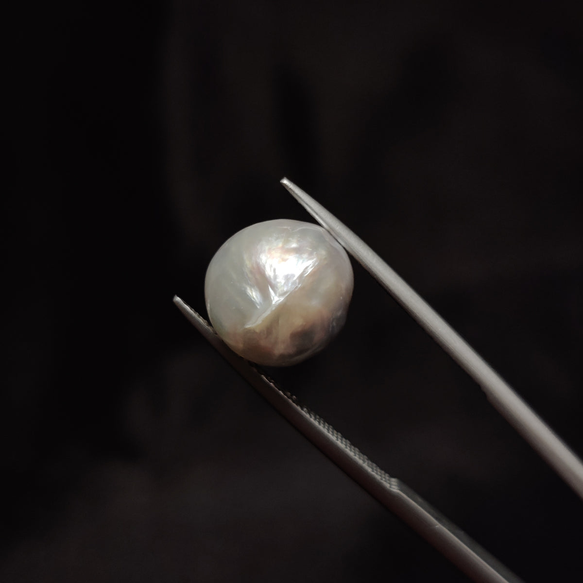 Natural Pearl (Moti) | Pearl 280 | 8.58 Carat | Certified