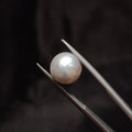 Pearl | Pearl 322 | 7.9 Carat