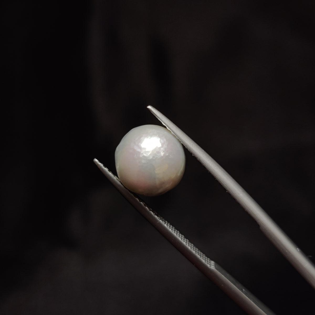 Natural Pearl (Moti) | Pearl 278 | 5.51 Carat | Certified