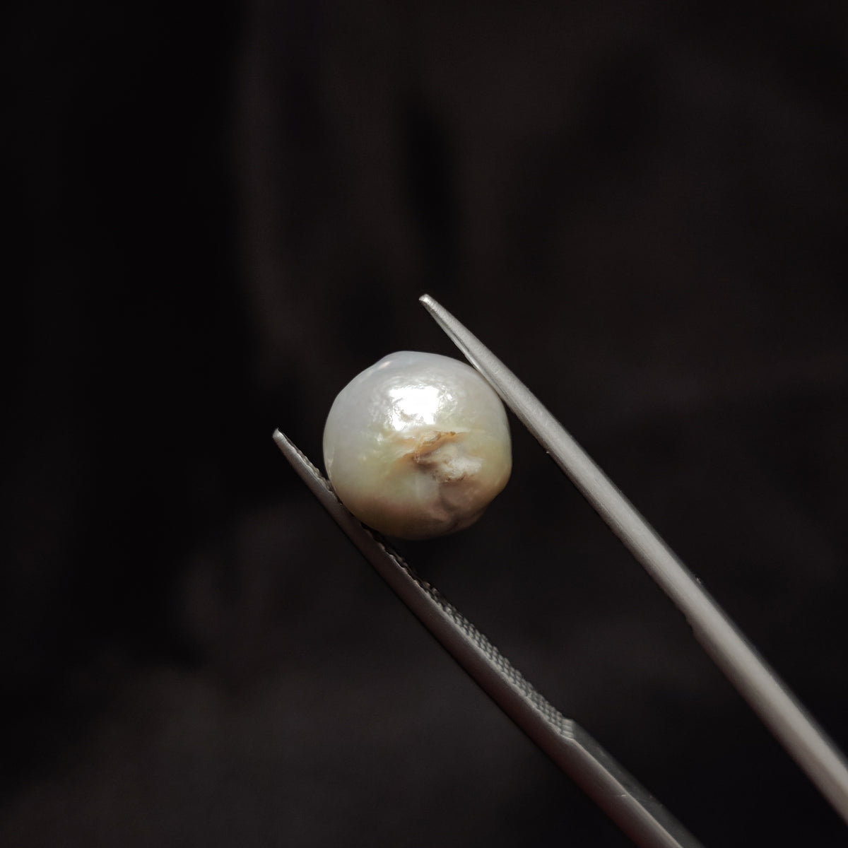 Natural Pearl (Moti) | Pearl 278 | 5.51 Carat | Certified