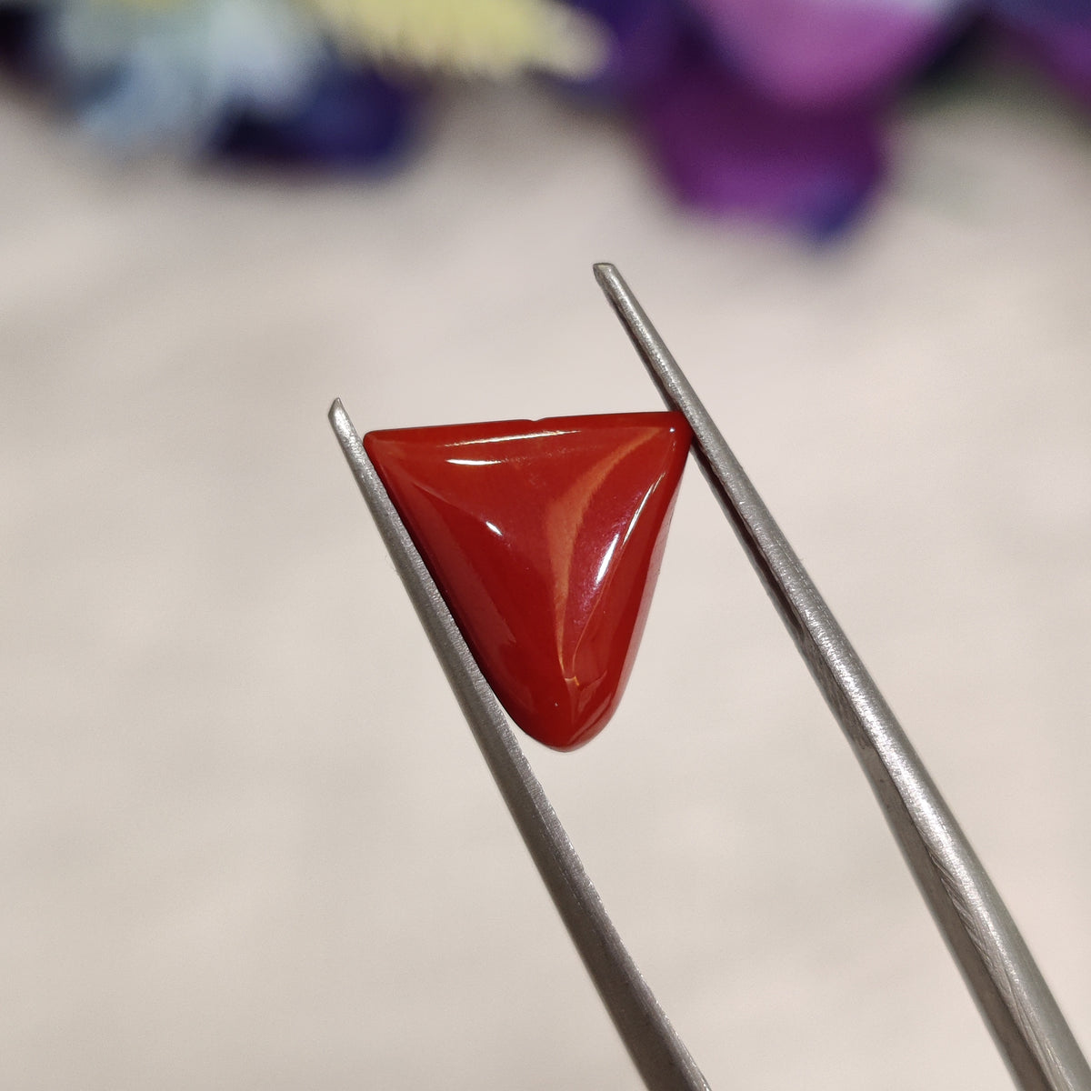 Natural Coral (Moonga) | Coral 148 | 3.12 Carat | Certified