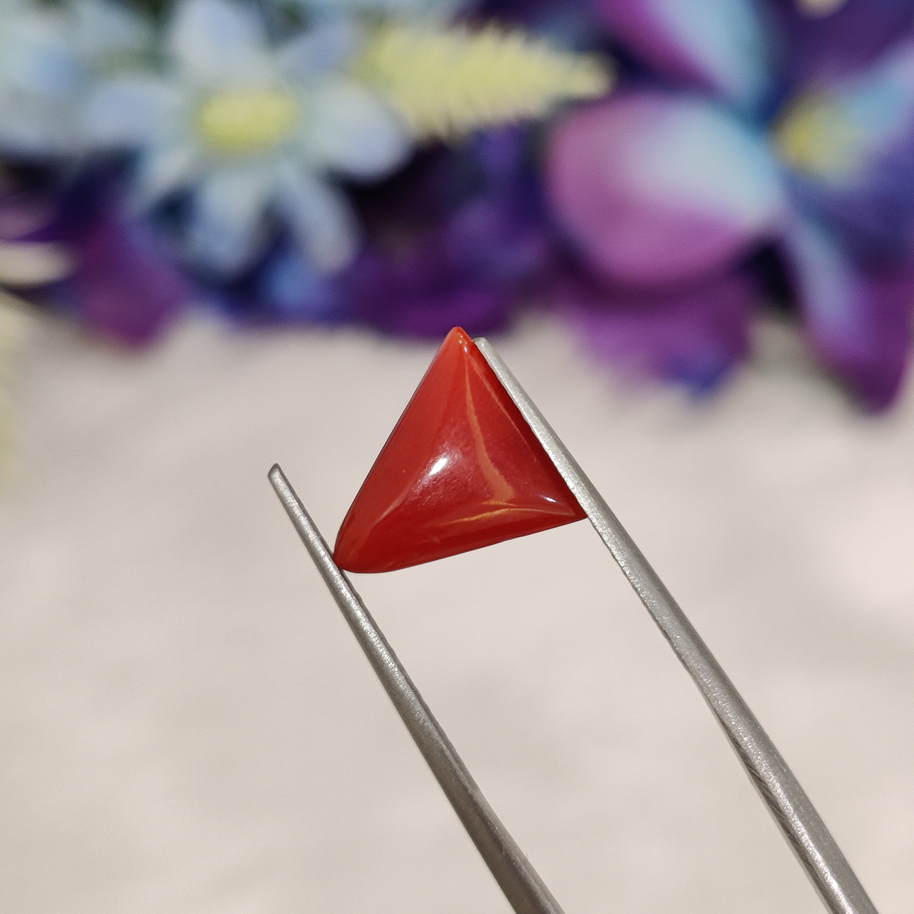 Coral | CORAL 156 | 2.38 Carat