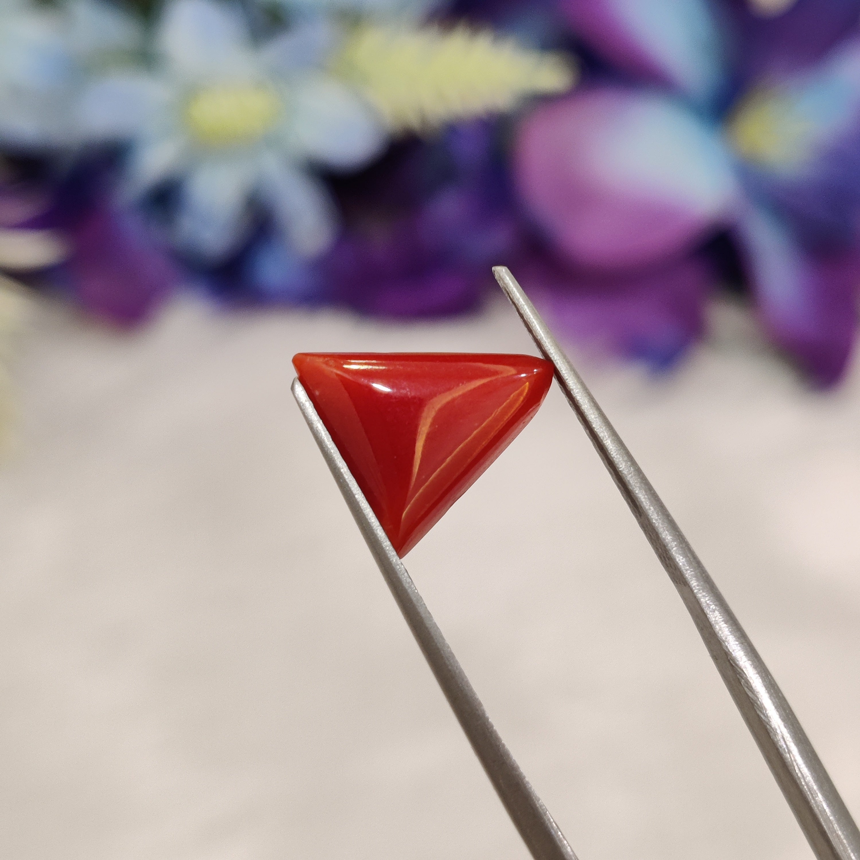 Coral | CORAL 156 | 2.38 Carat