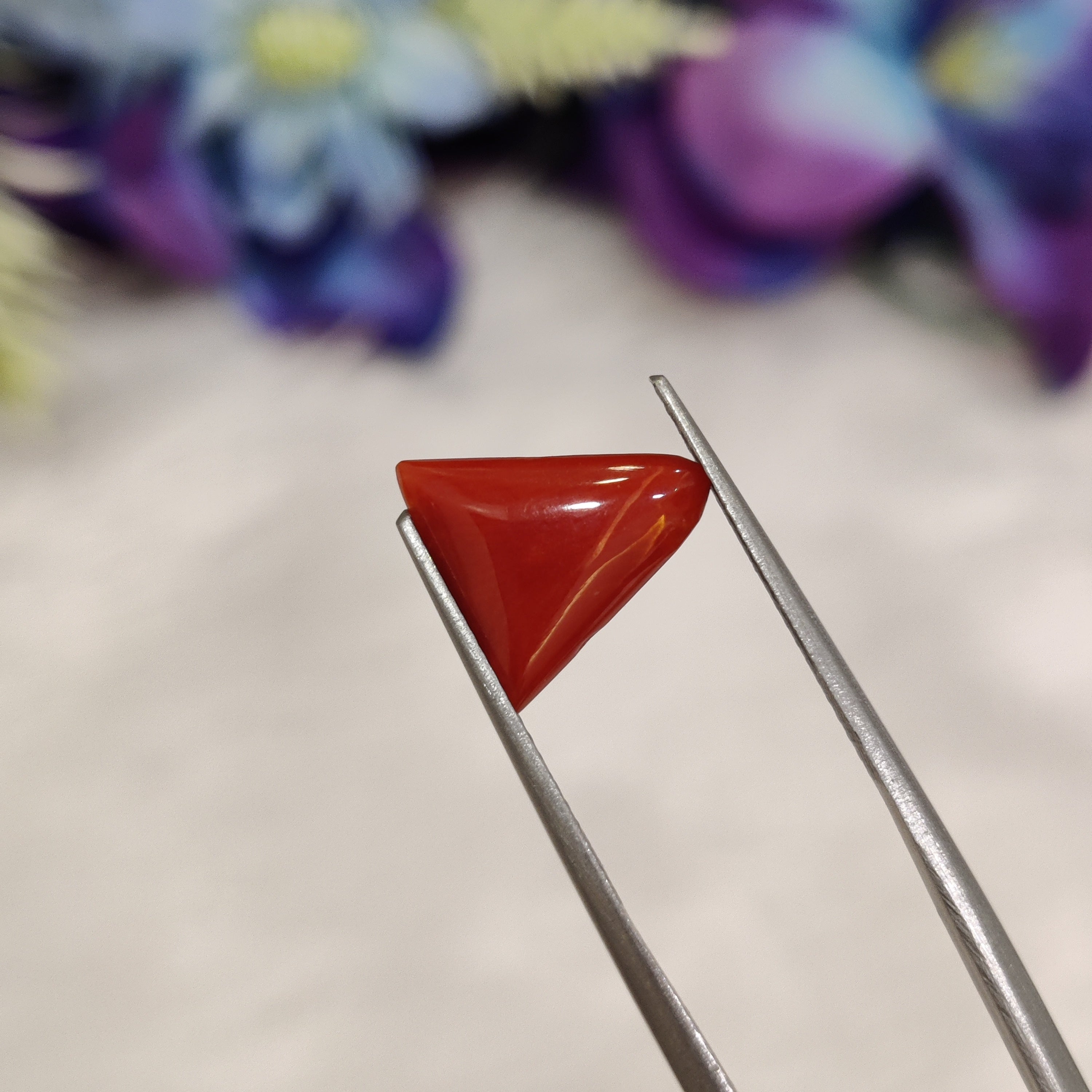Coral | CORAL 169 | 2.4 Carat