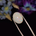 Opal | Opal 158 | 6.61 Carat