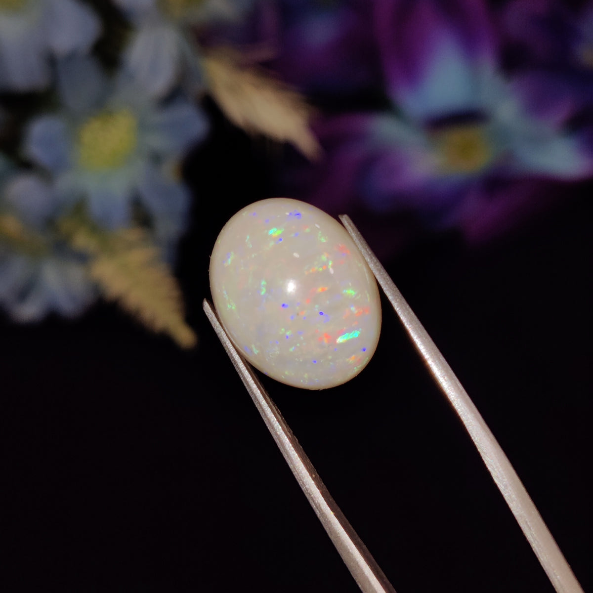 Natural Opal | Opal 158 | 6.61 Carat | Certified