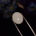 Opal | Opal 163 | 4.37 Carat