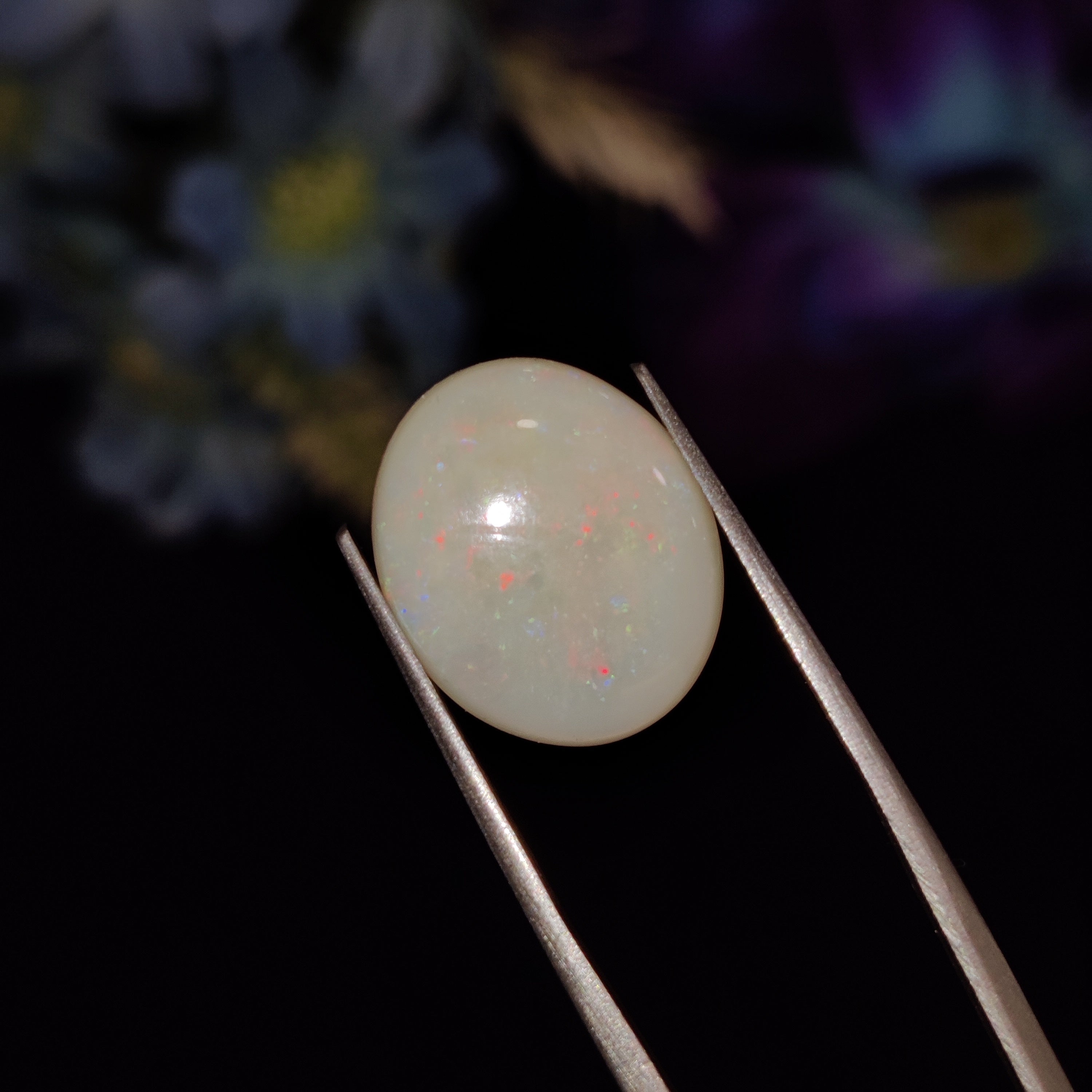 Opal | Opal 164 | 4.71 Carat