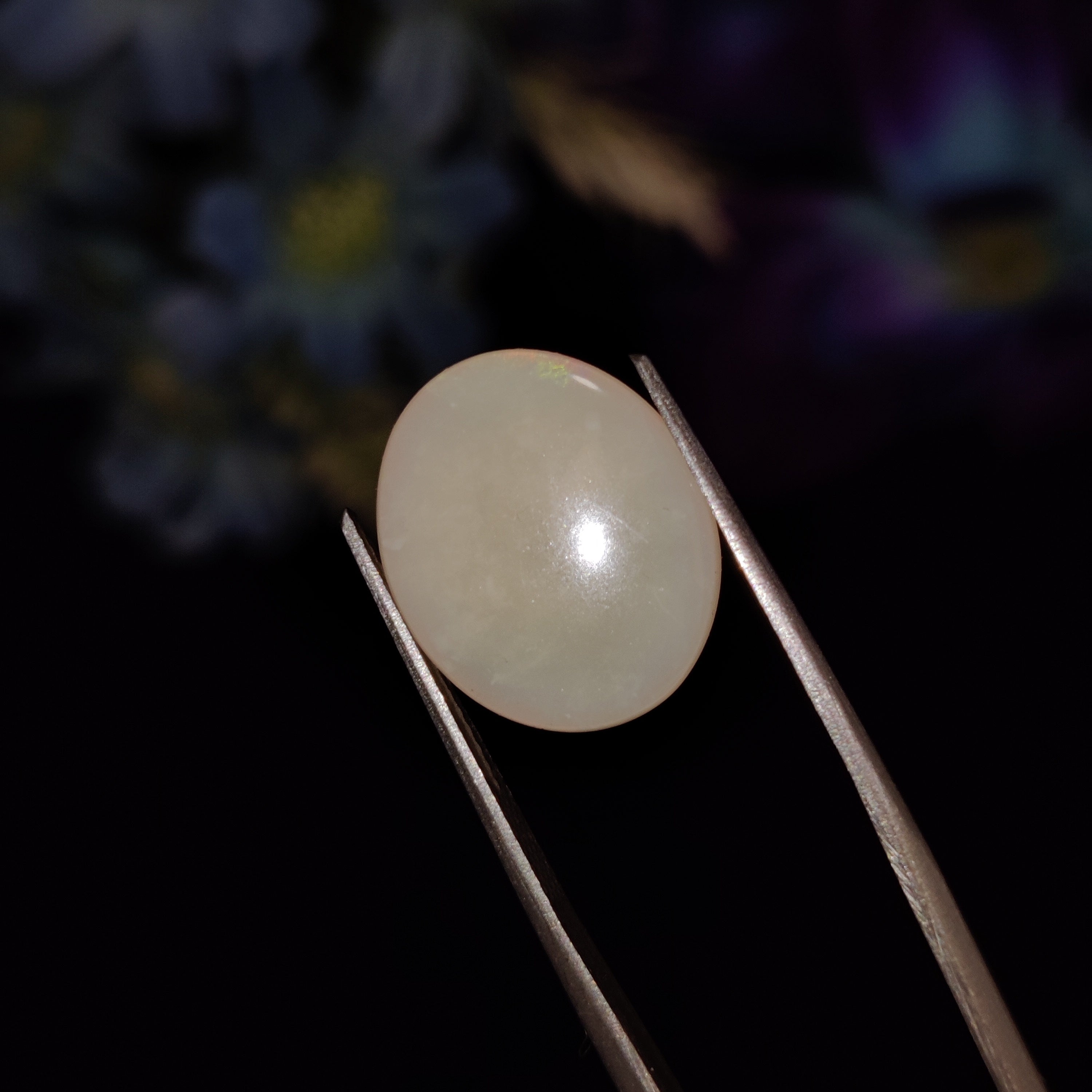 Opal | Opal 164 | 4.71 Carat