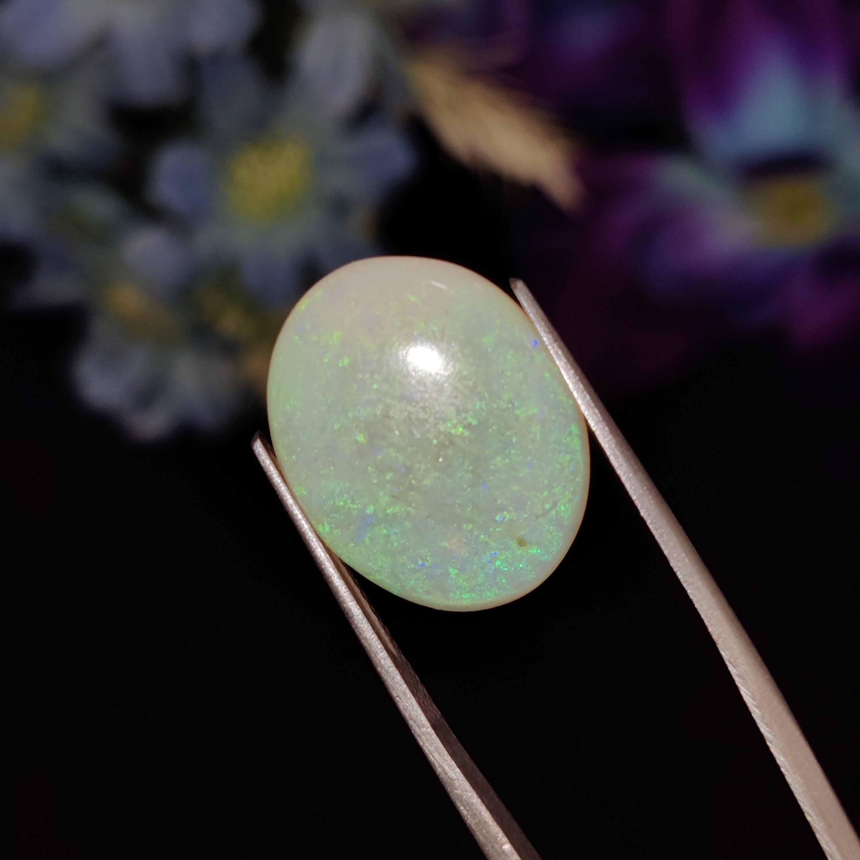 Opal | Opal 165 | 6.79 Carat