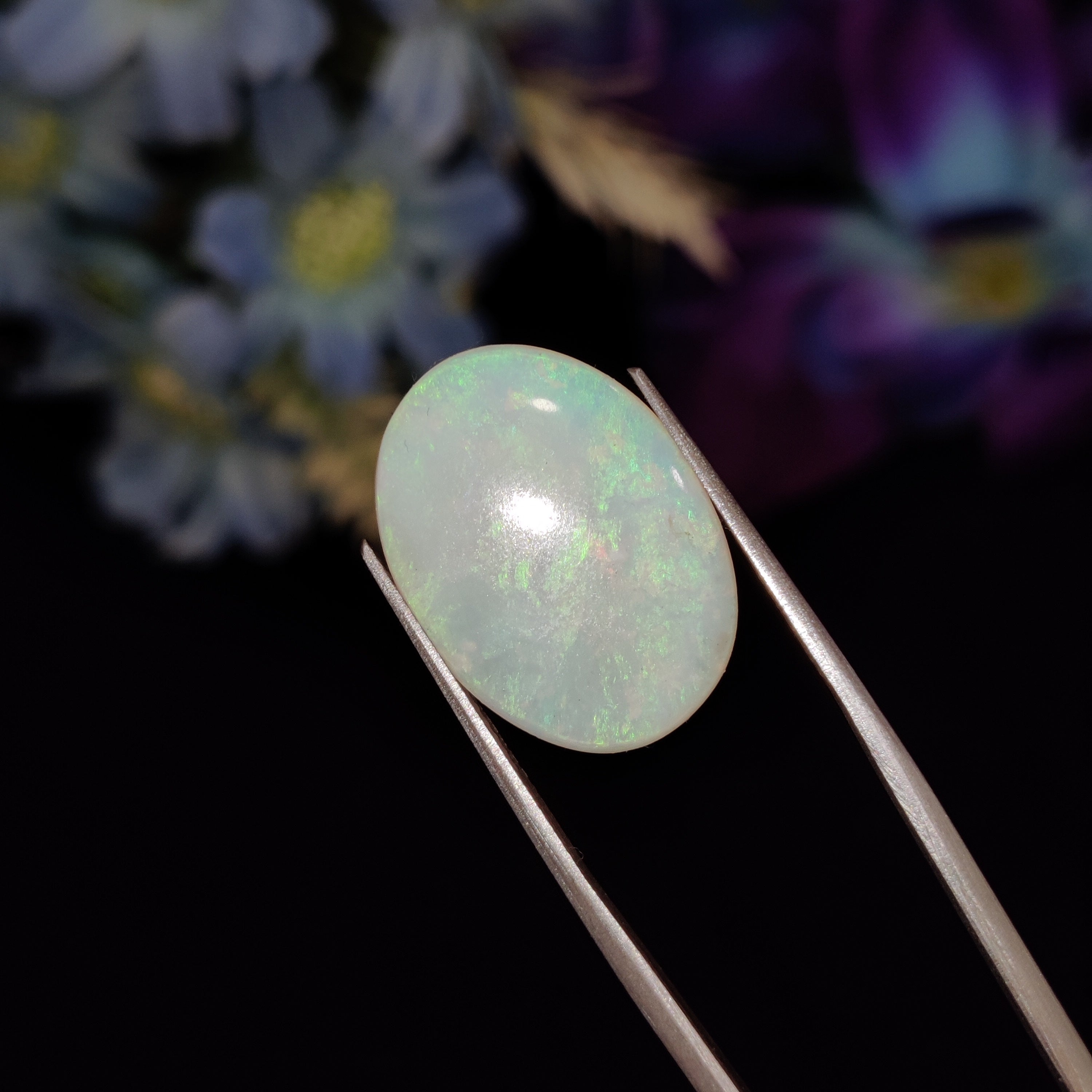 Opal | Opal 166 | 6.71 Carat