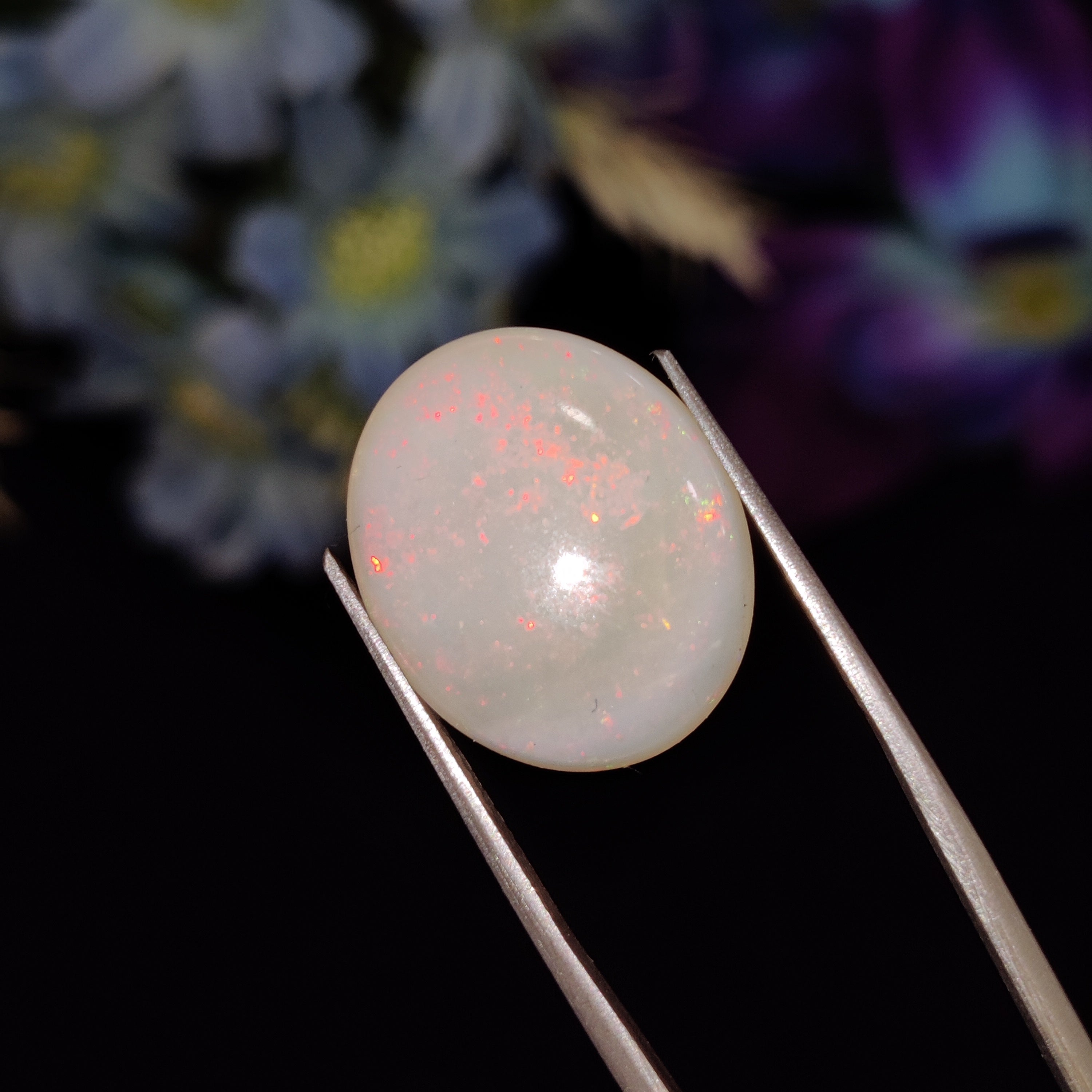 Opal | Opal 169 | 8.13 Carat