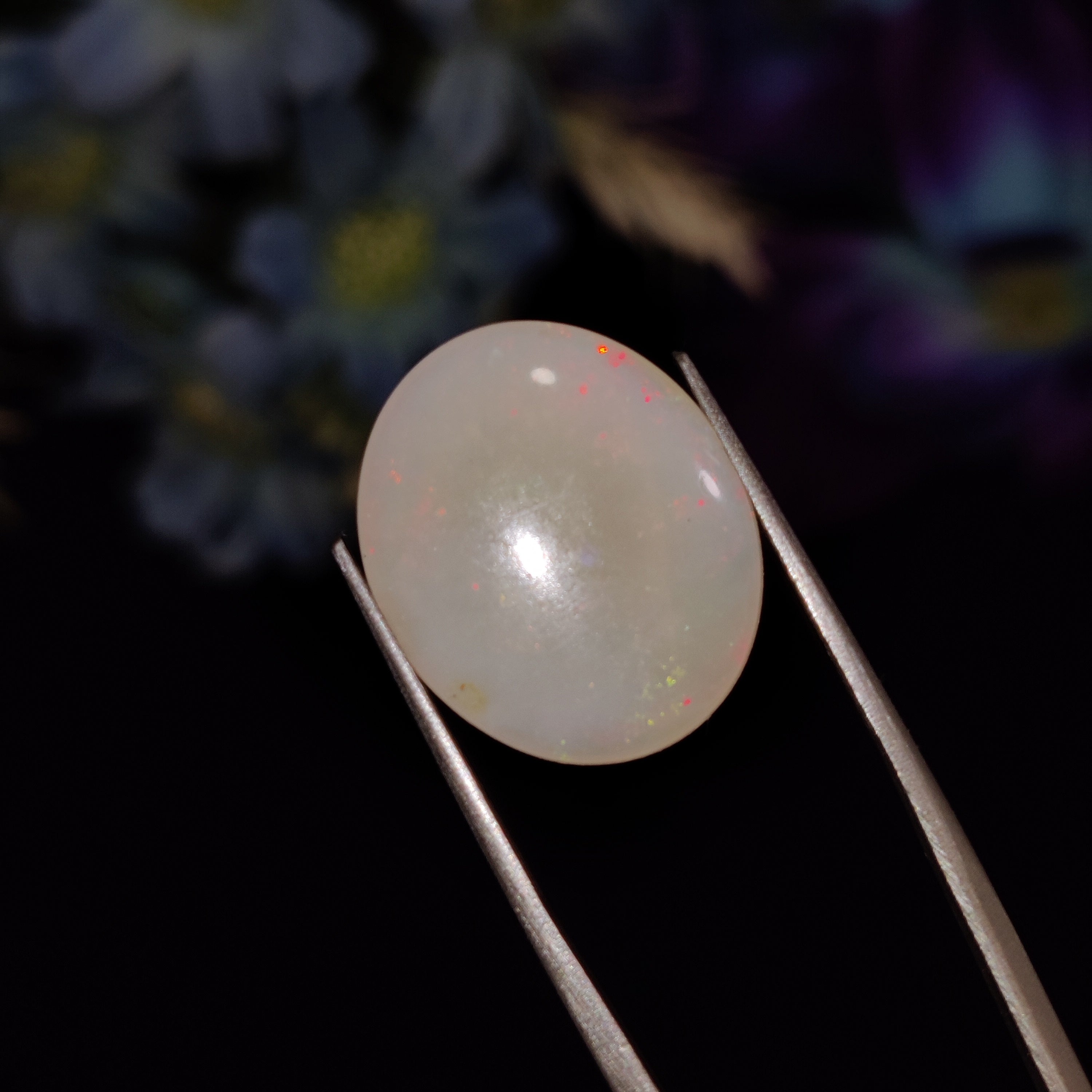 Opal | Opal 169 | 8.13 Carat