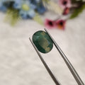 Emerald | EM 501 | 3.58 Carat