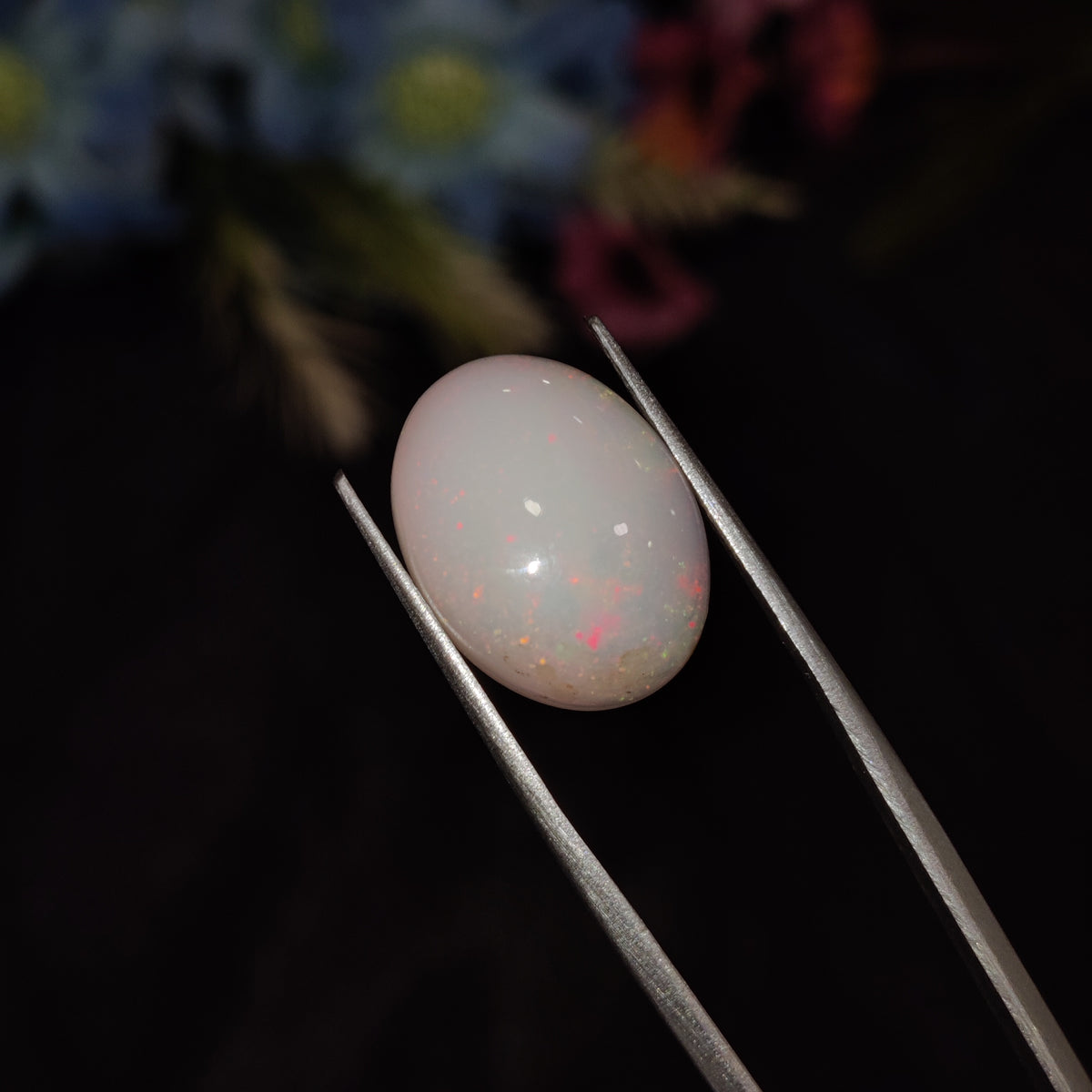 Natural Opal | Opal 189 | 6.71 Carat | Certified