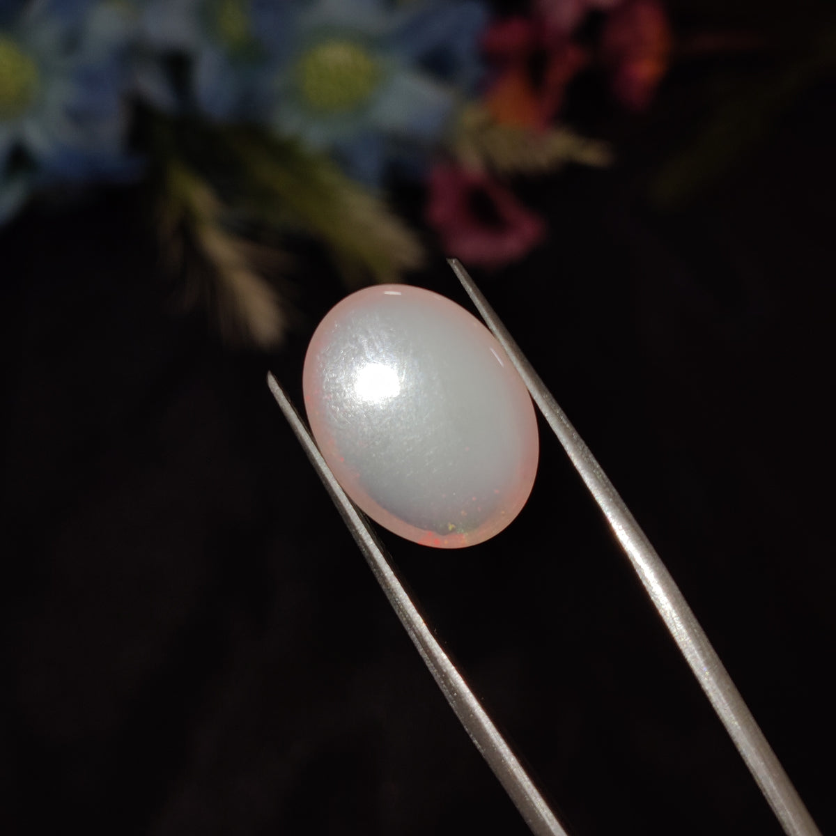 Natural Opal | Opal 189 | 6.71 Carat | Certified