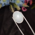 Opal | Opal 192 | 6.36 Carat