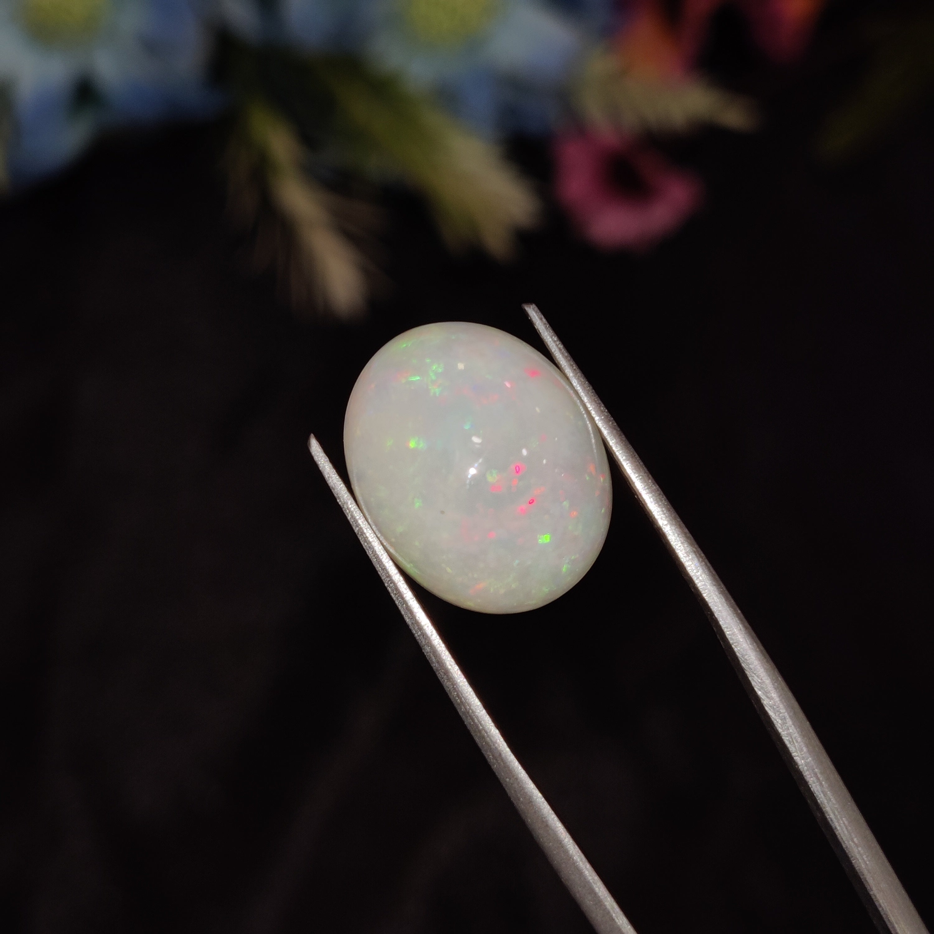 Opal | Opal 198 | 6.19 Carat