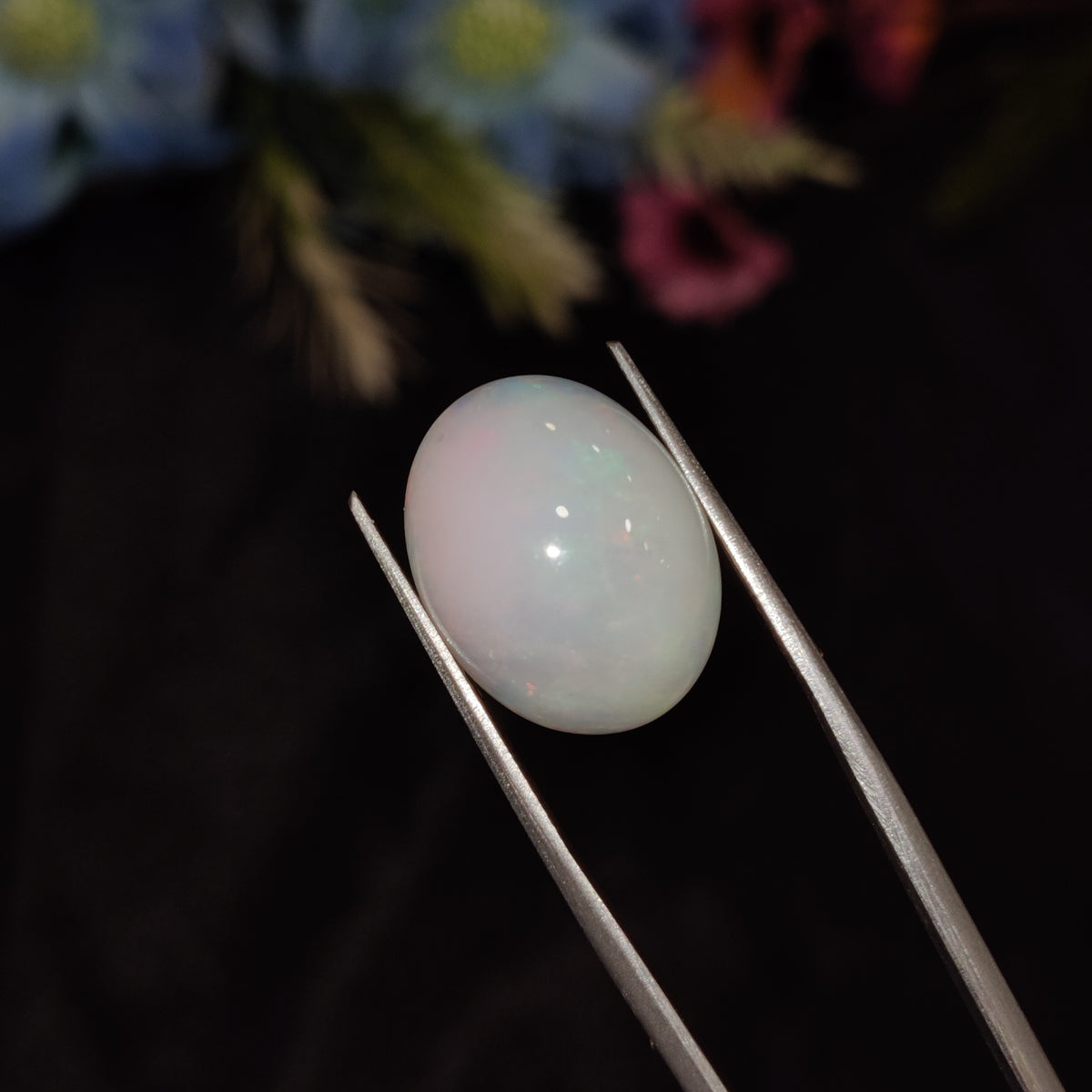 Natural Opal | Opal 204 | 8.31 Carat | Certified