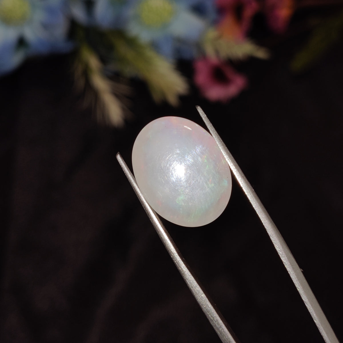 Natural Opal | Opal 204 | 8.31 Carat | Certified