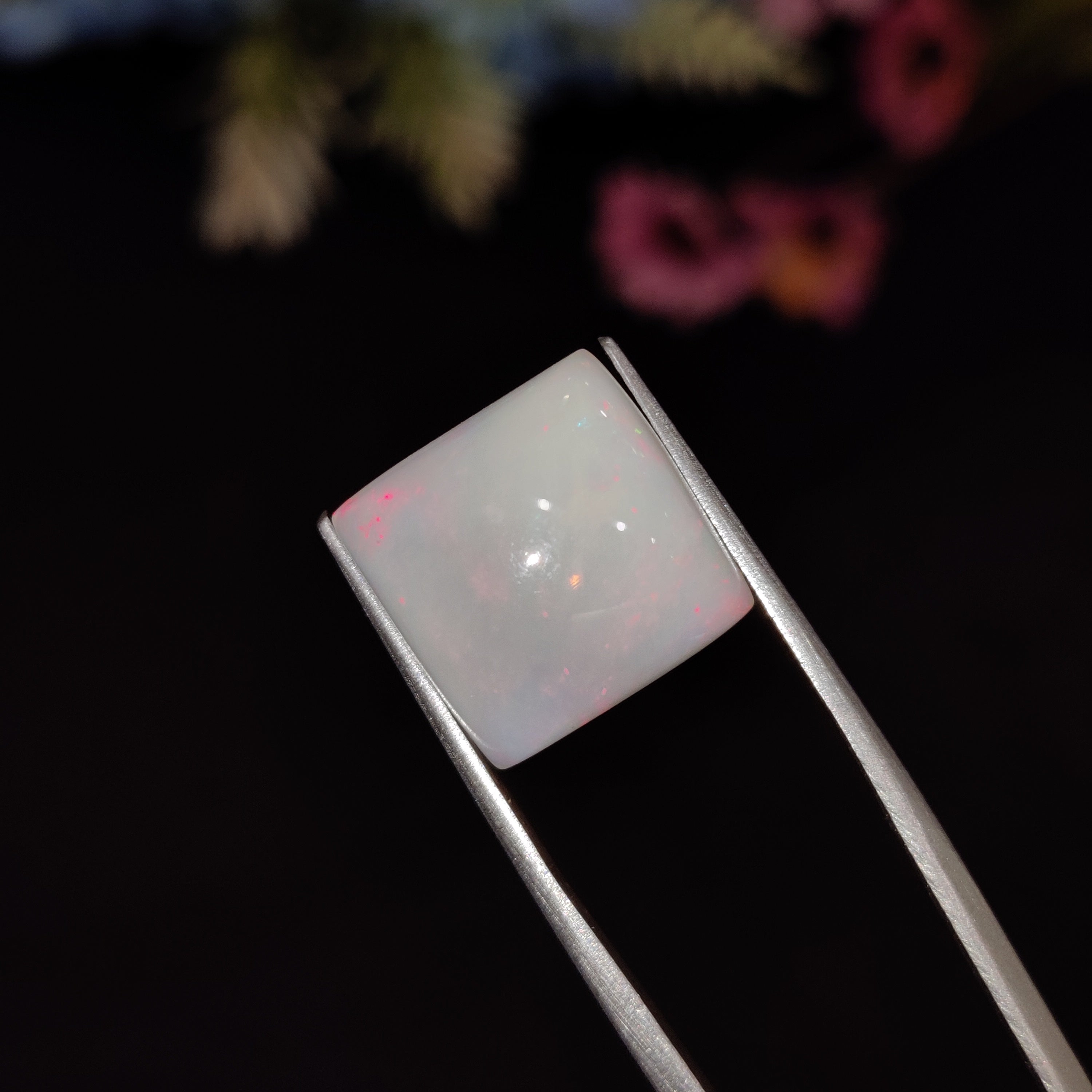 Opal | Opal 209 | 8.1 Carat