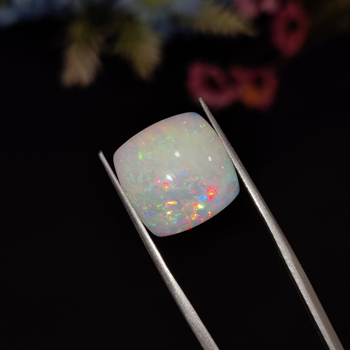 Natural Opal | Opal 211 | 4.76 Carat | Certified