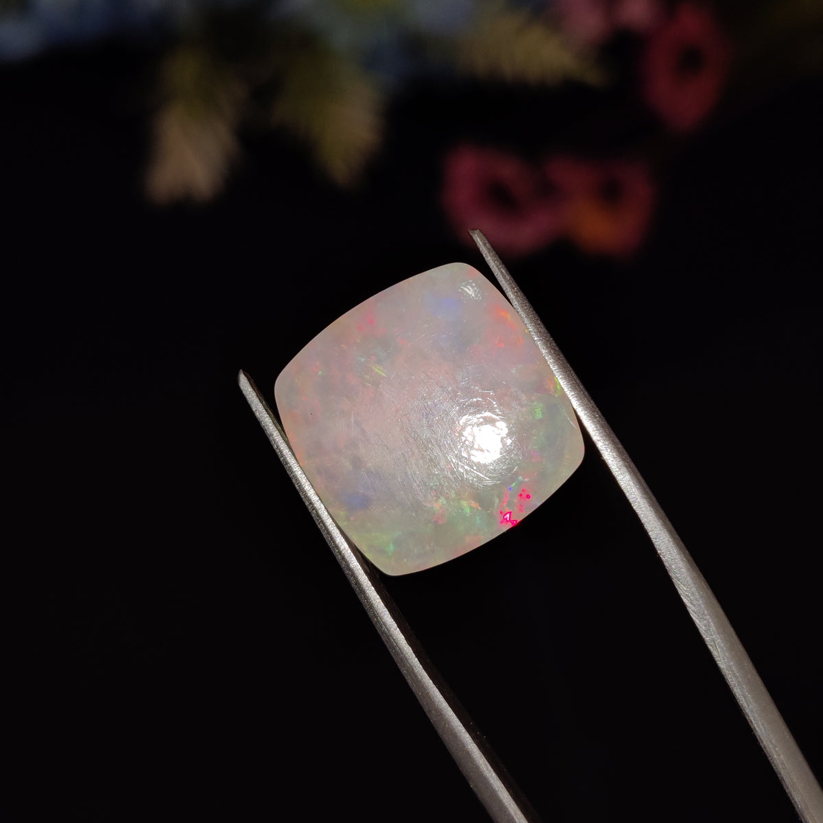 Natural Opal | Opal 211 | 4.76 Carat | Certified