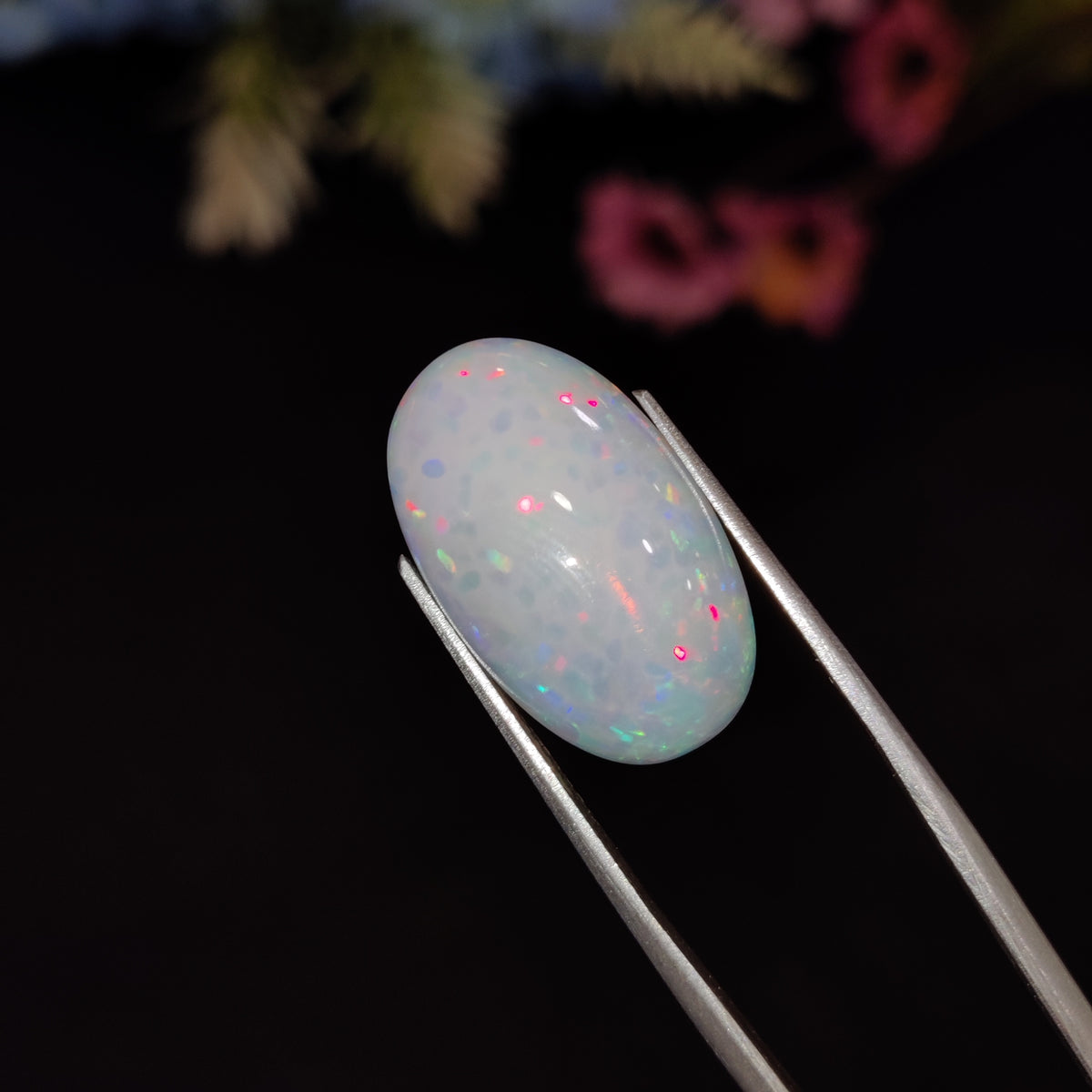 Natural Opal | Opal 213 | 7.16 Carat | Certified